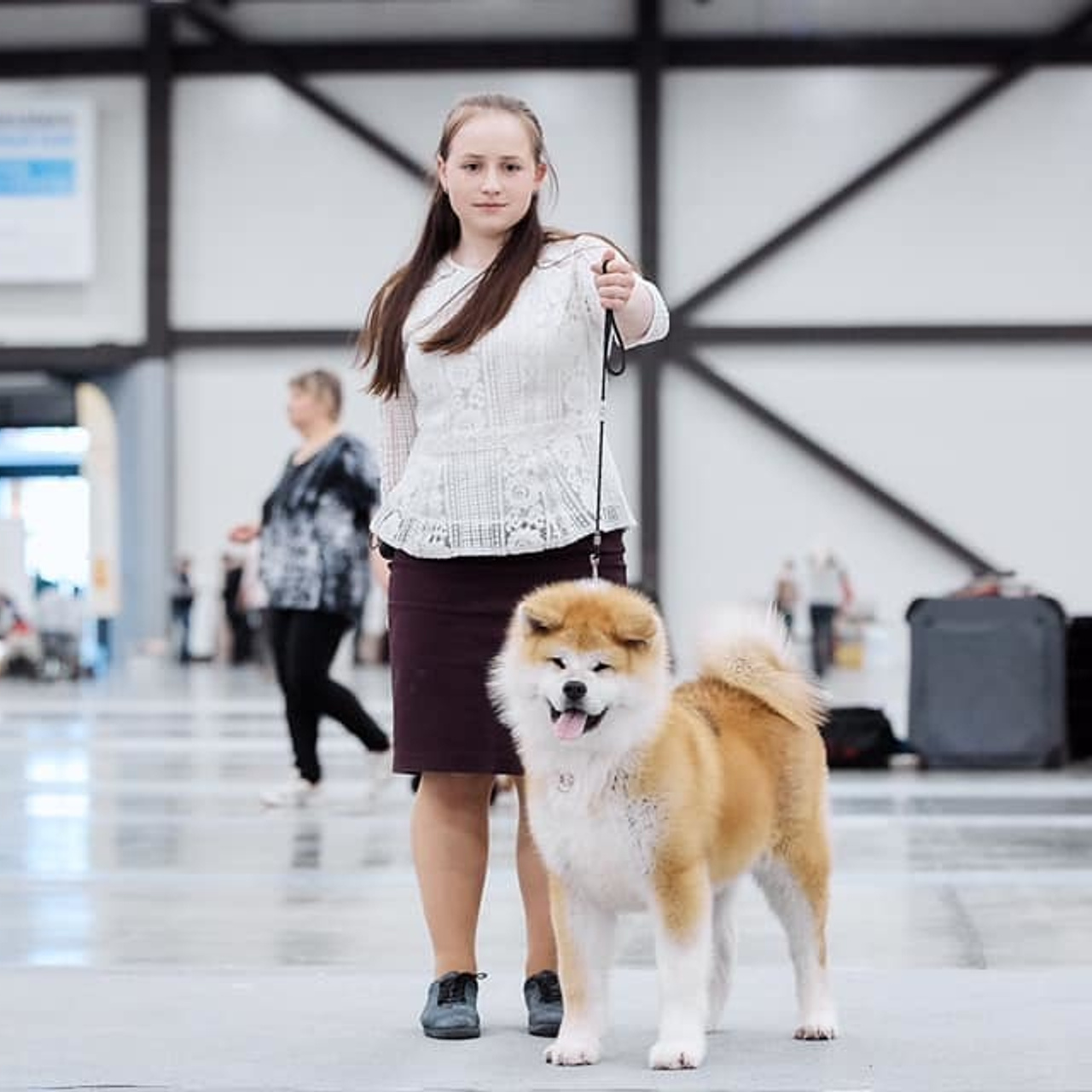 2019. SHIOMARU Shiba and Akita Inu Kennel