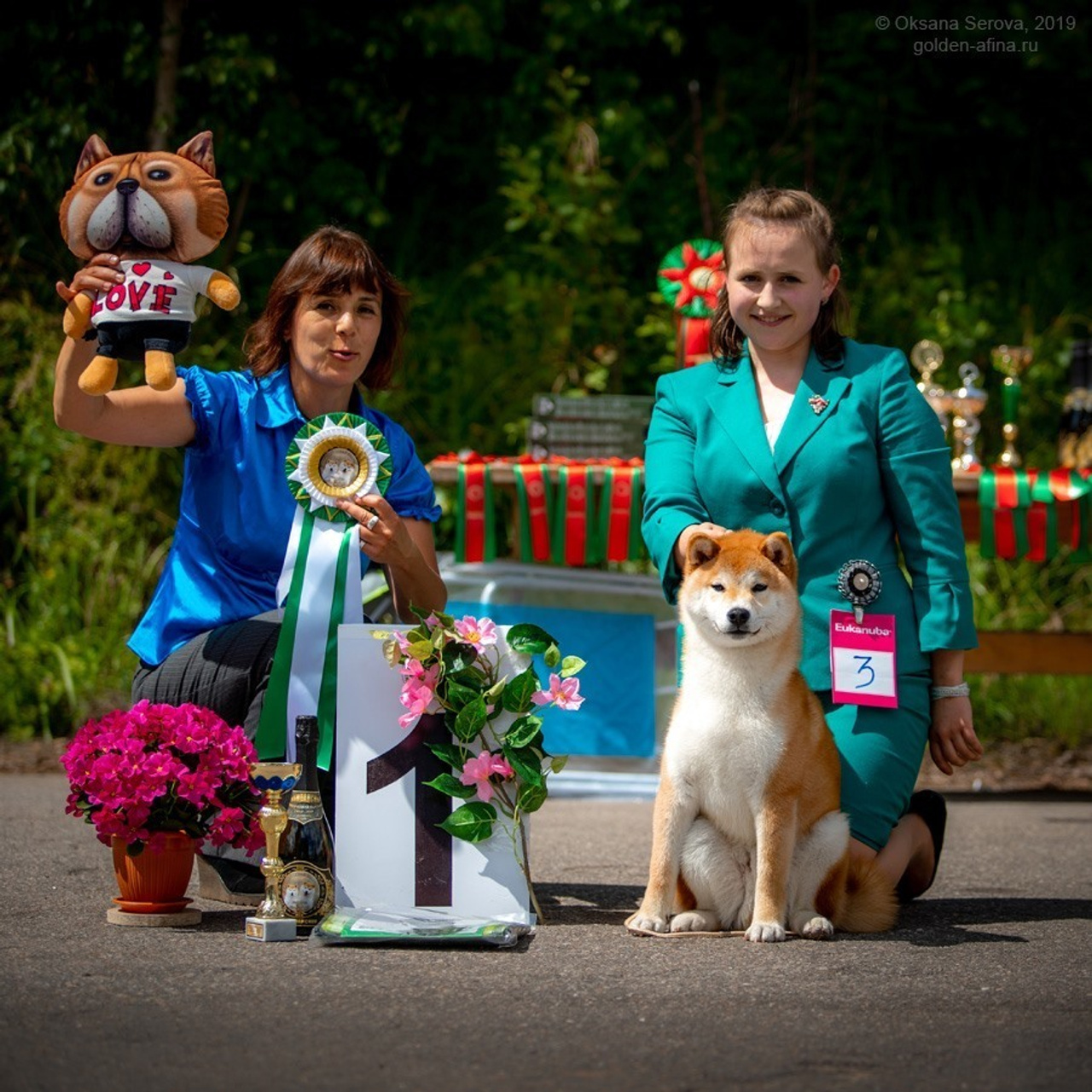 2019. SHIOMARU Shiba and Akita Inu Kennel