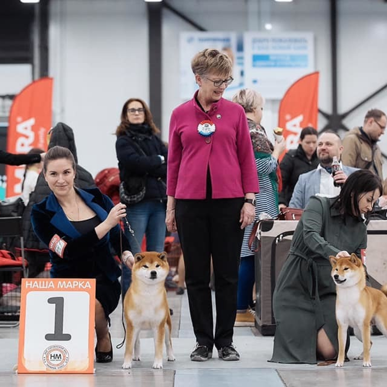 2019. SHIOMARU Shiba and Akita Inu Kennel