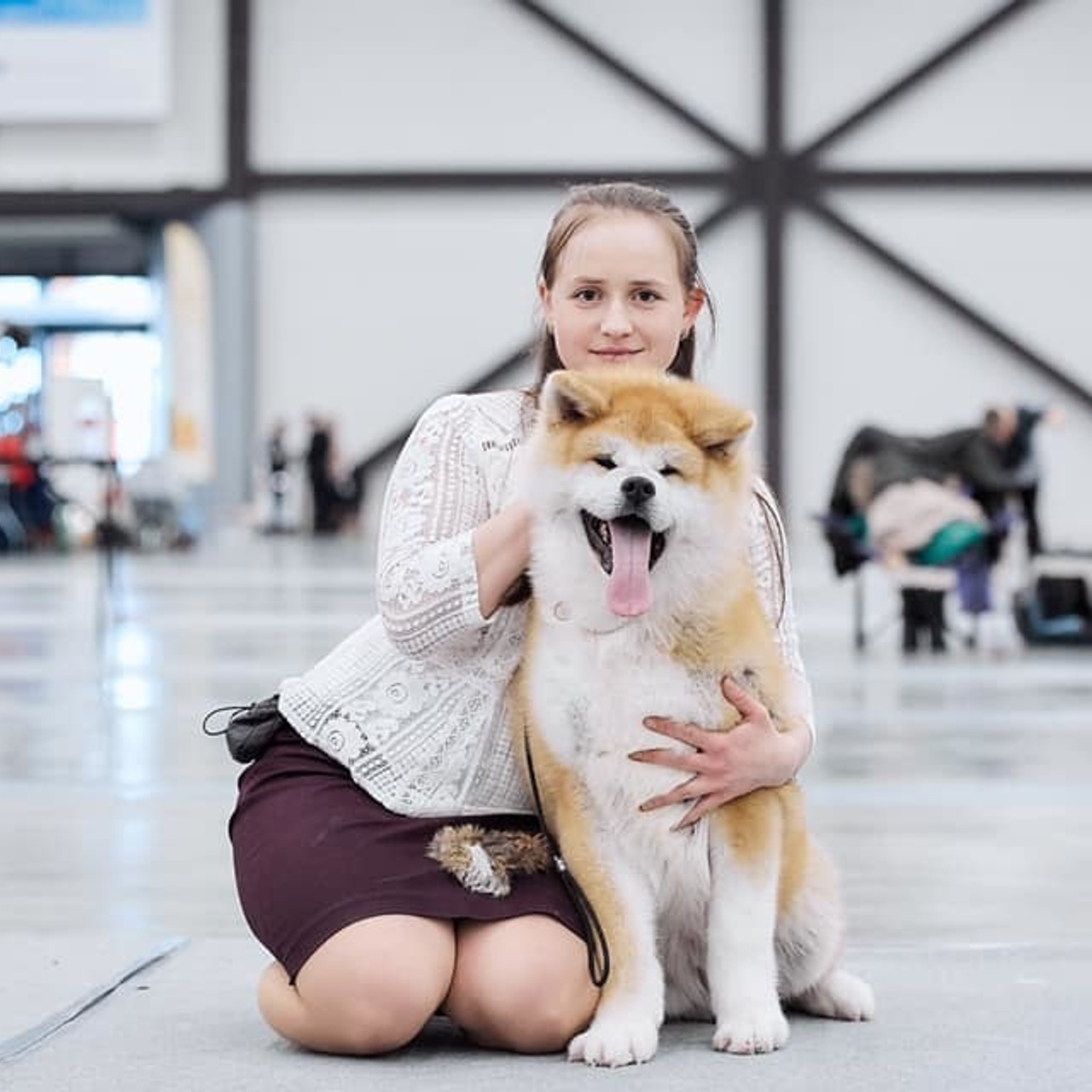2019. SHIOMARU Shiba and Akita Inu Kennel