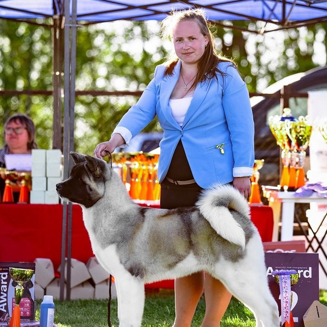 2024. SHIOMARU Shiba and Akita Inu Kennel