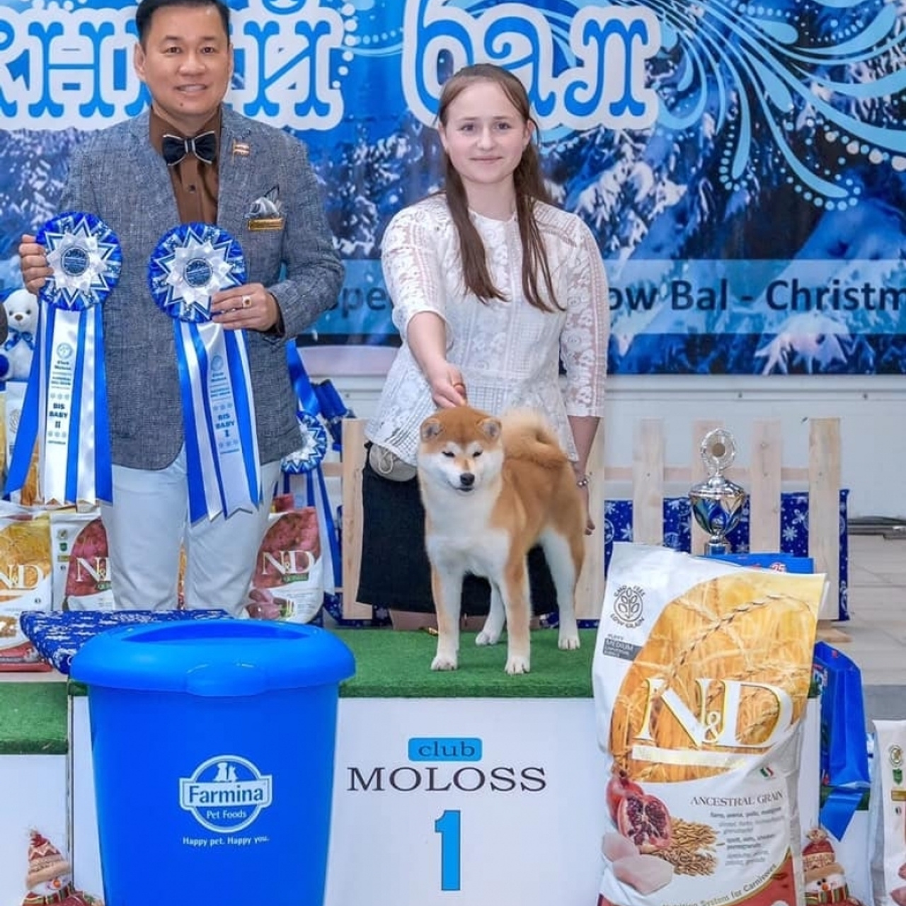 2019. SHIOMARU Shiba and Akita Inu Kennel