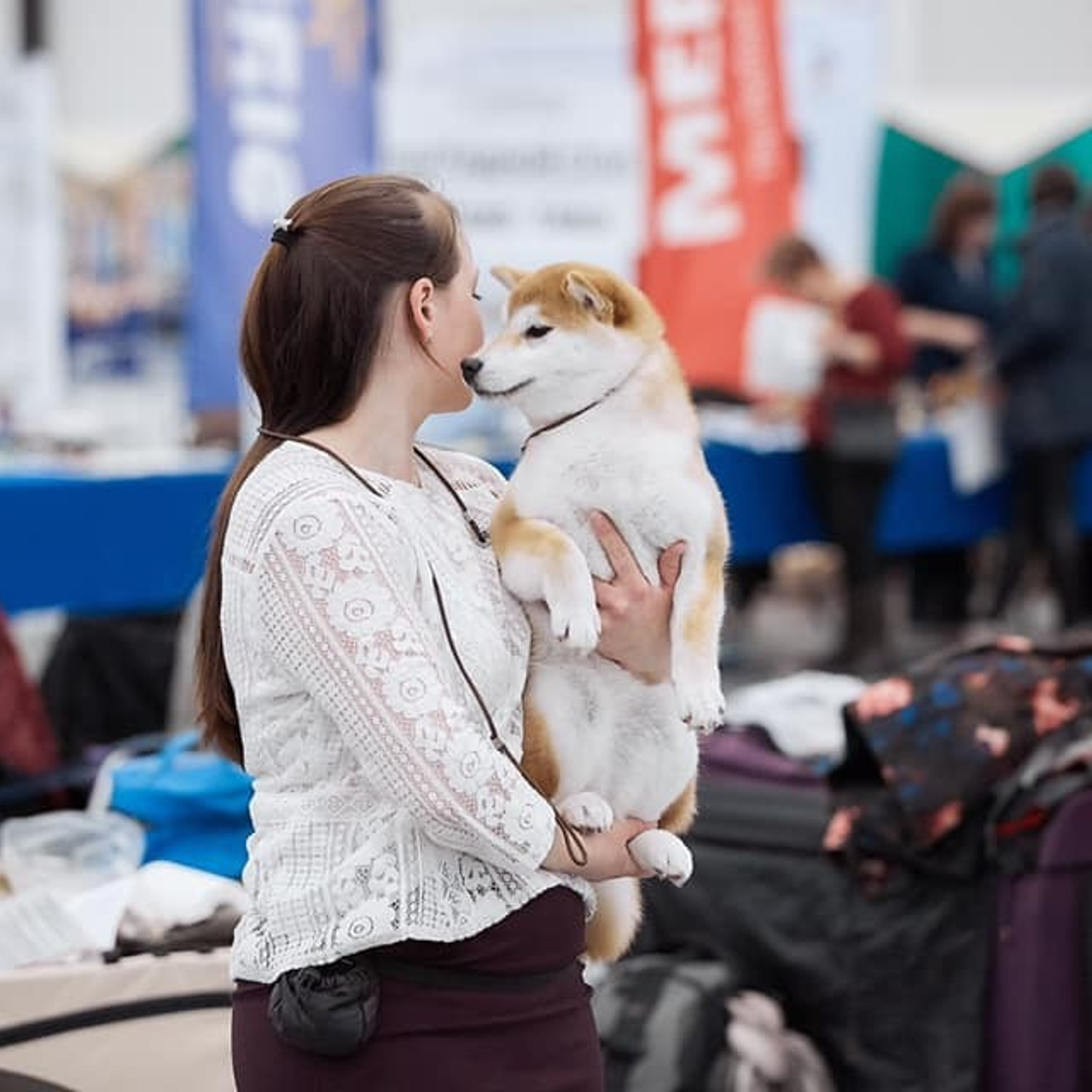 2019. SHIOMARU Shiba and Akita Inu Kennel