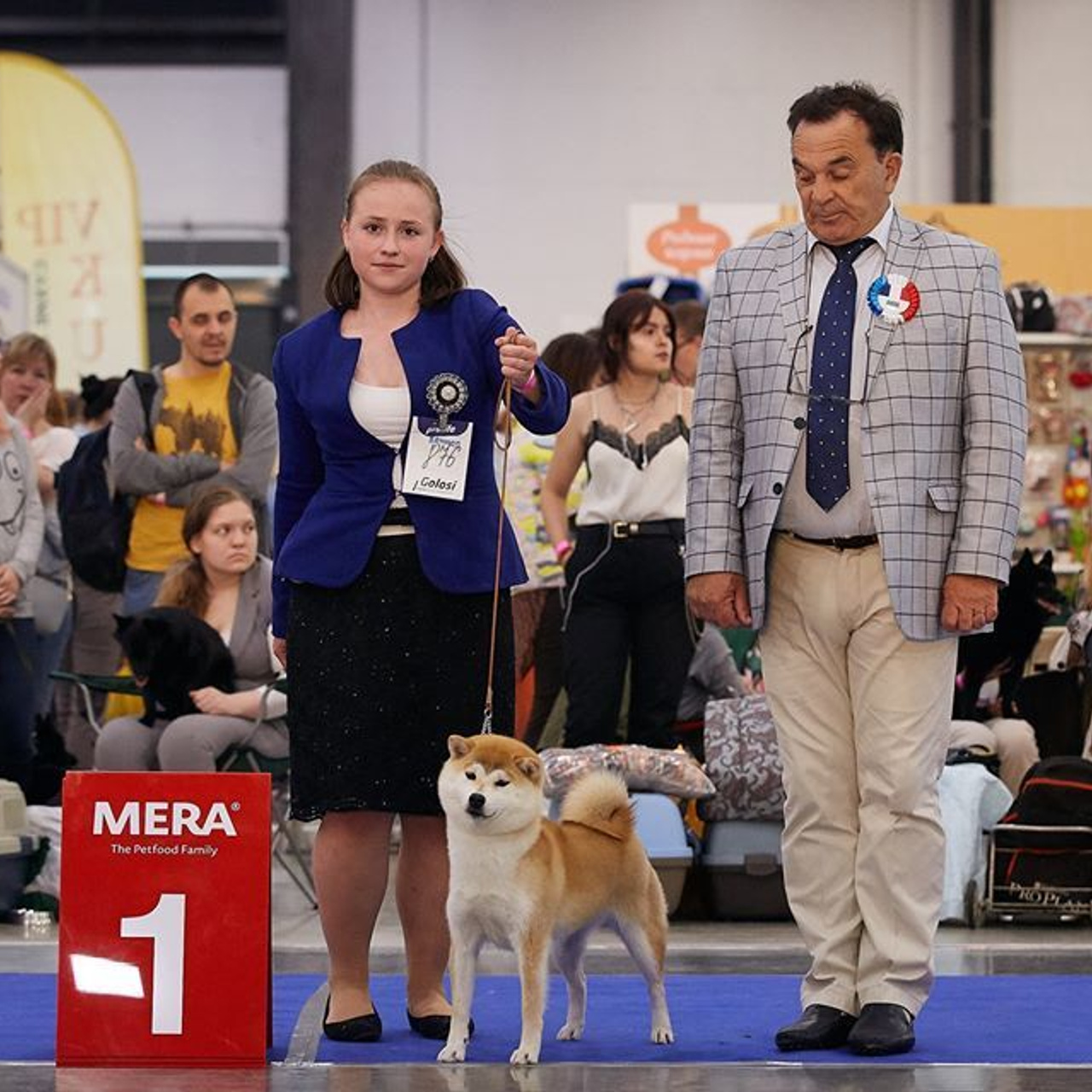 2019. SHIOMARU Shiba and Akita Inu Kennel