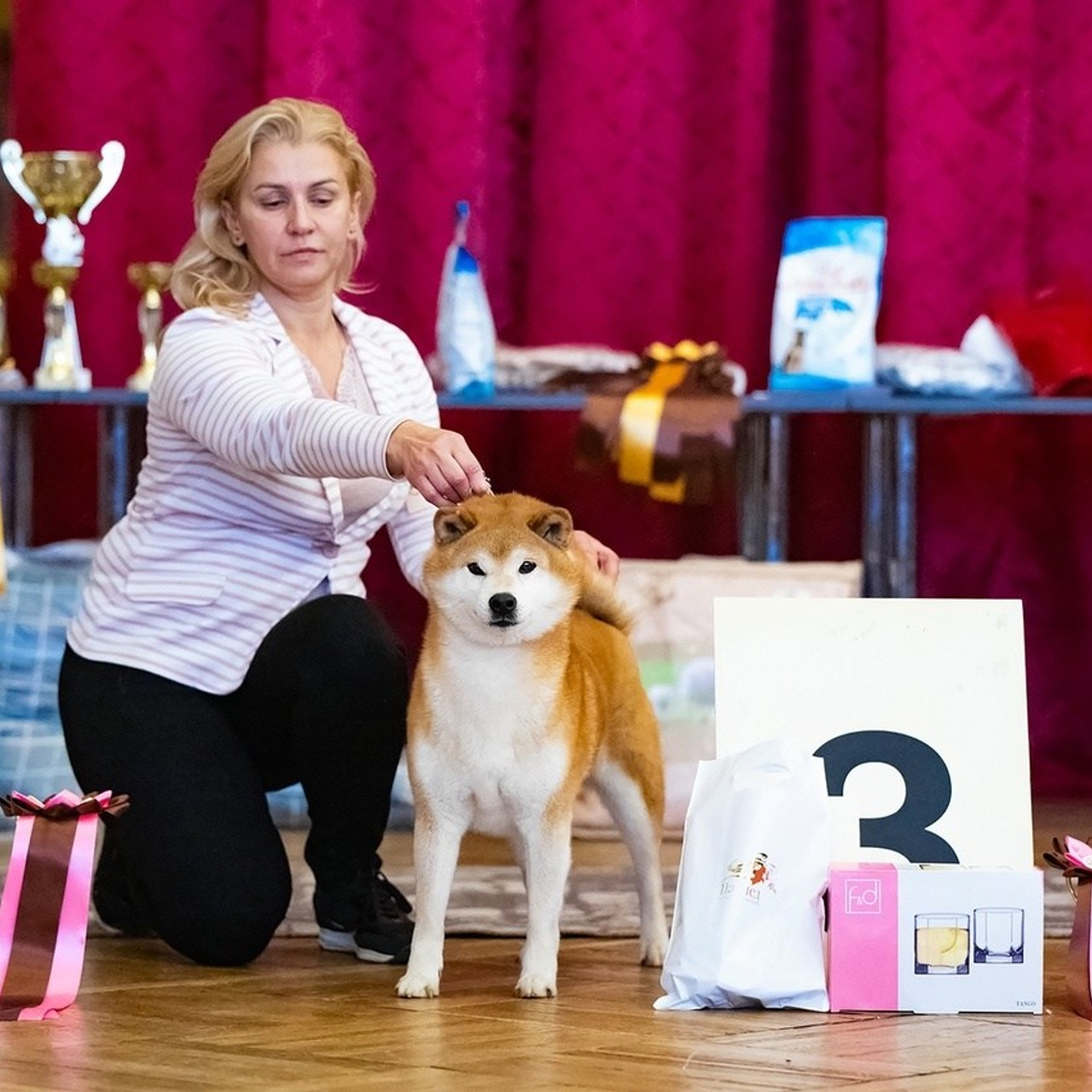 2023. SHIOMARU Питомник сиба и акита-ину