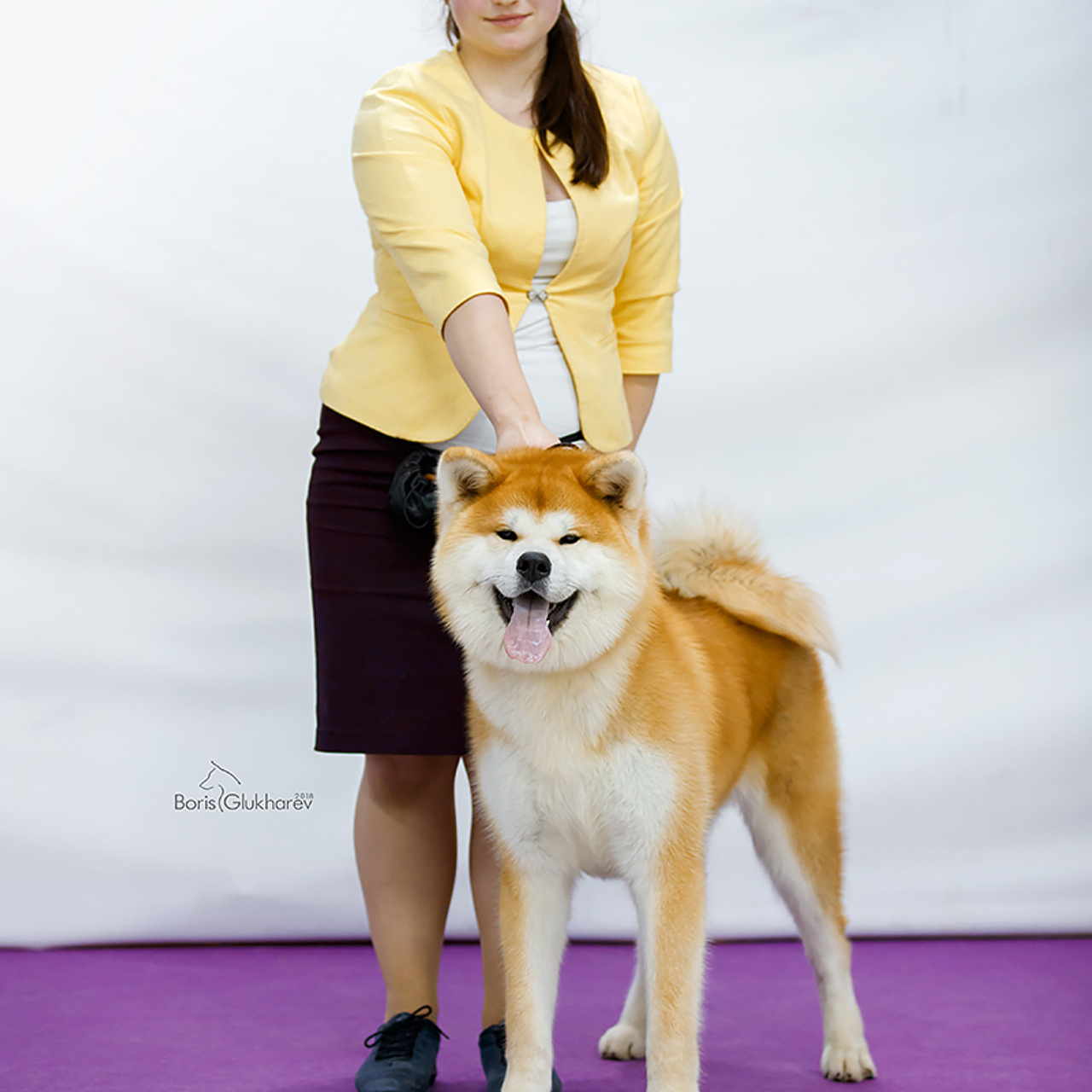 SHIOMARU KOUKI GO. SHIOMARU Shiba and Akita Inu Kennel