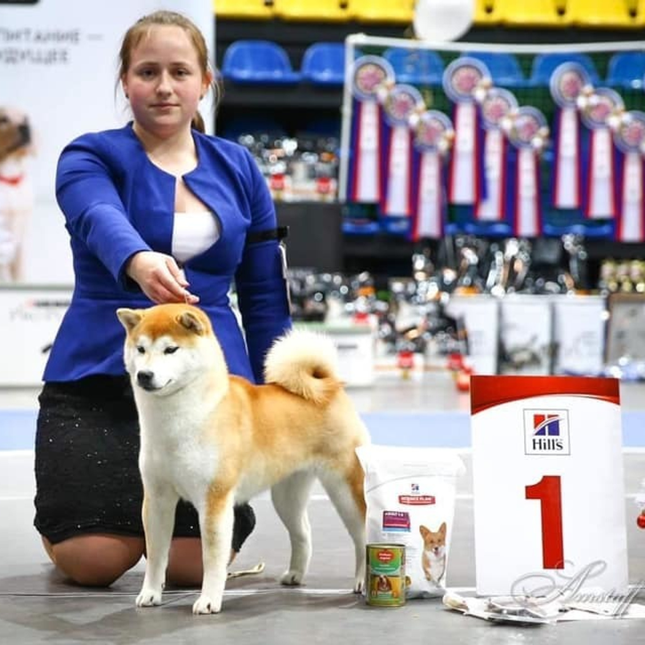 2019. SHIOMARU Shiba and Akita Inu Kennel