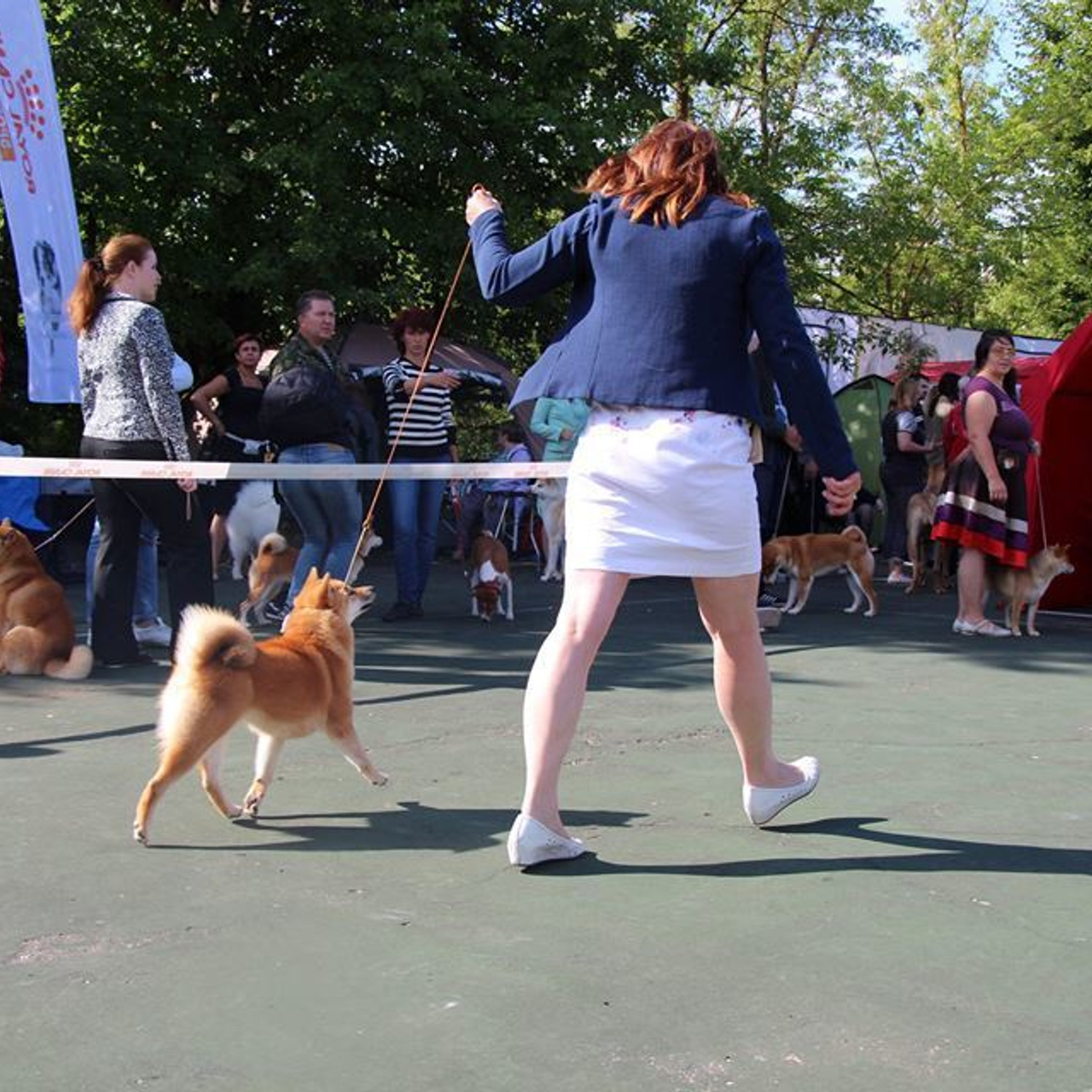 Выпускники питомника. SHIOMARU Питомник сиба и акита-ину