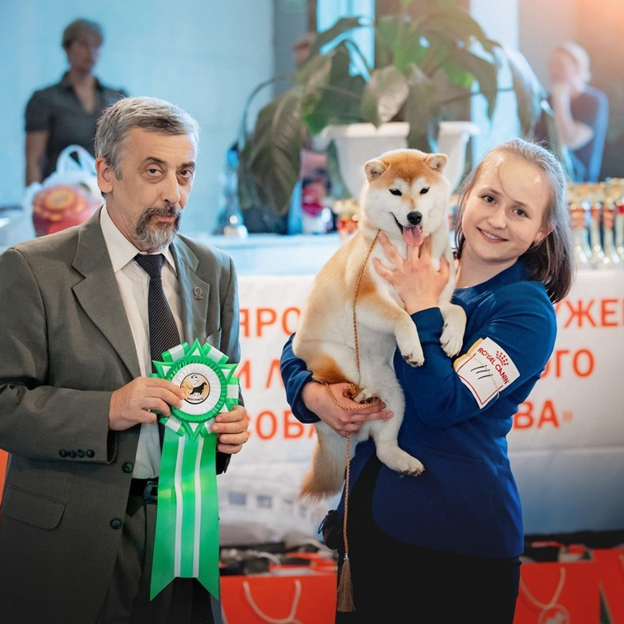 2019. SHIOMARU Shiba and Akita Inu Kennel