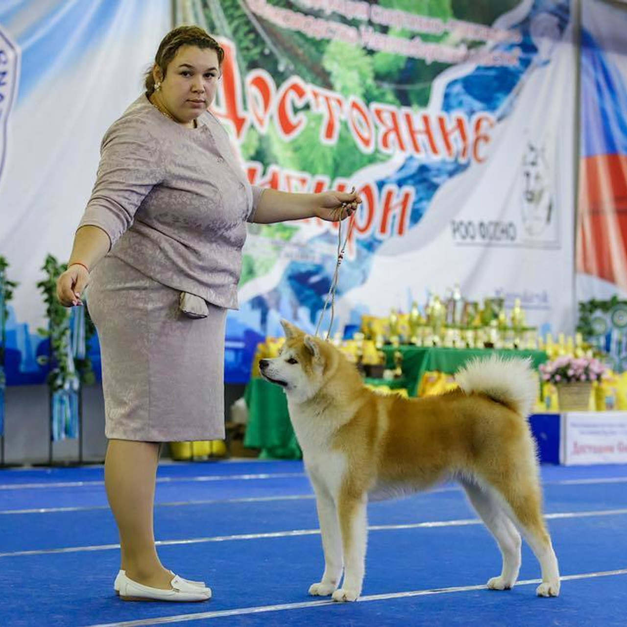 Выпускники питомника. SHIOMARU Питомник сиба и акита-ину