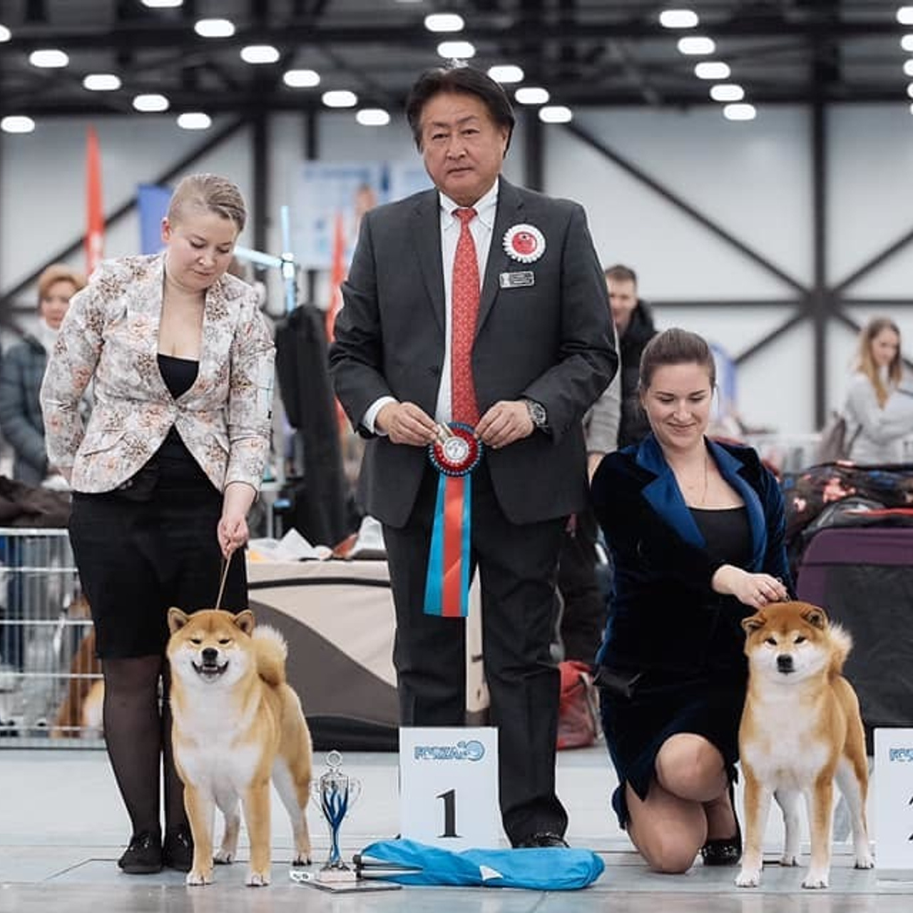 2019. SHIOMARU Shiba and Akita Inu Kennel