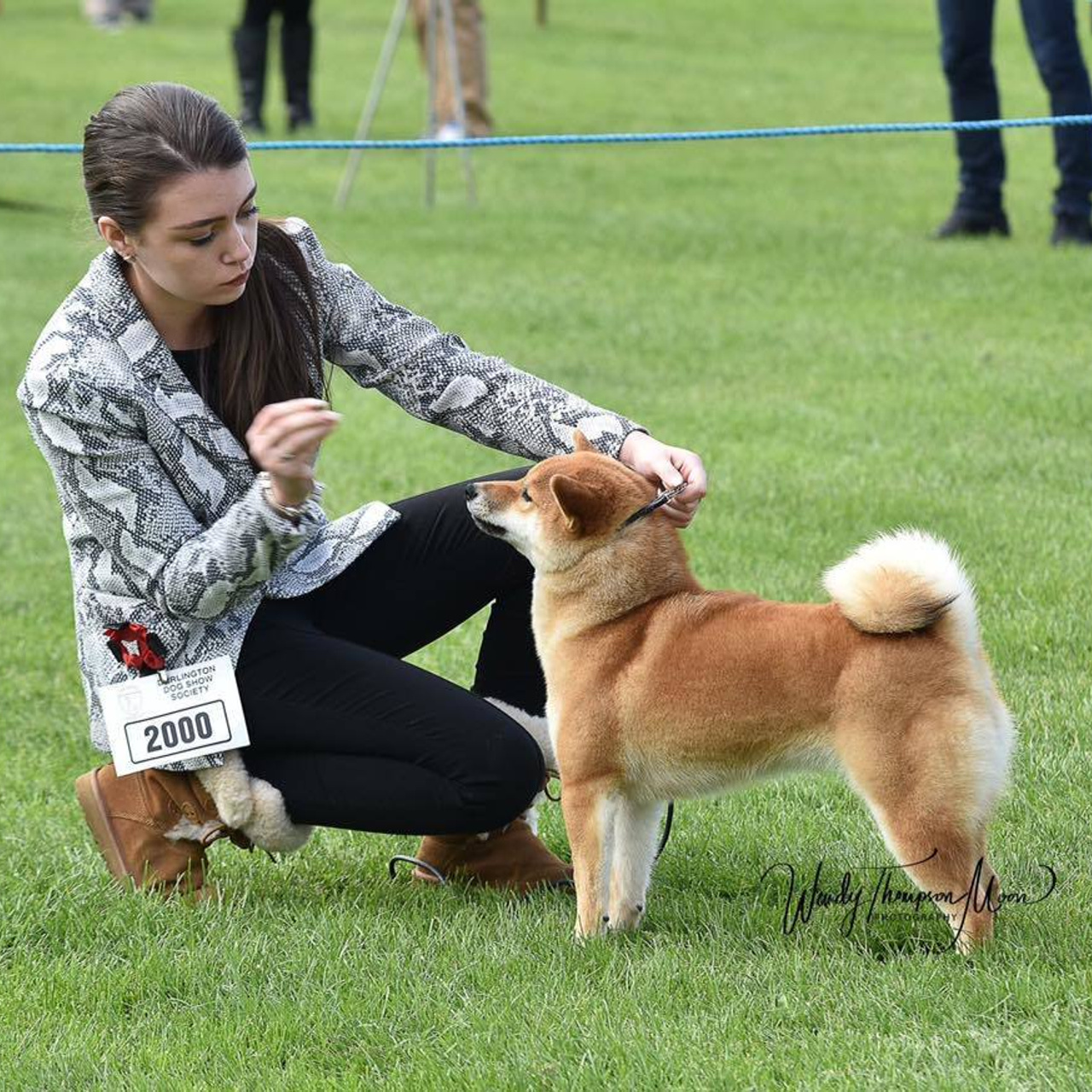 Выпускники питомника. SHIOMARU Питомник сиба и акита-ину