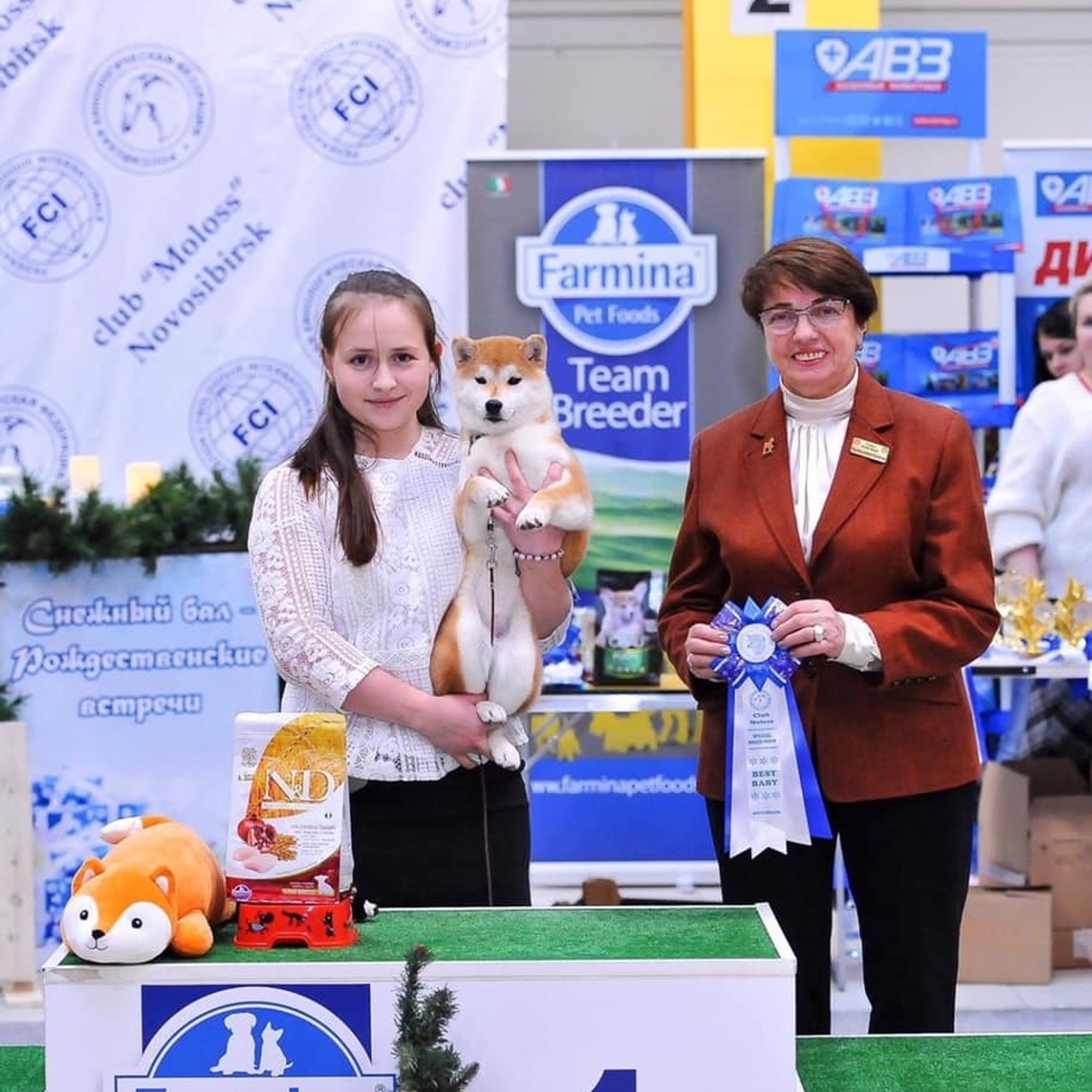 2019. SHIOMARU Shiba and Akita Inu Kennel