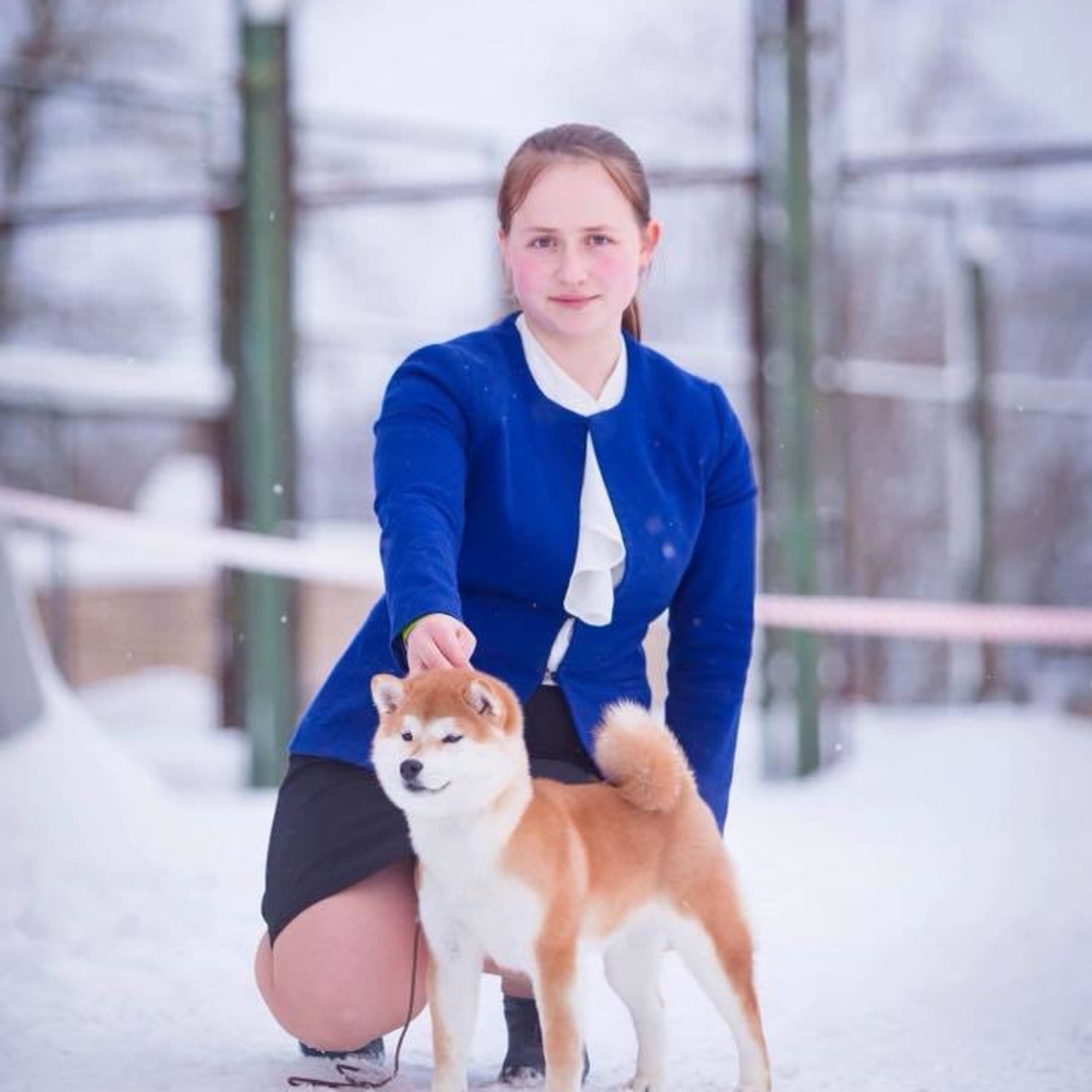 2019. SHIOMARU Shiba and Akita Inu Kennel