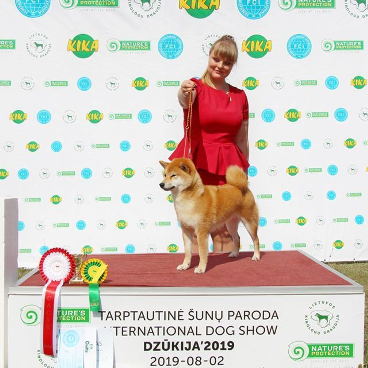 Выпускники питомника. SHIOMARU Питомник сиба и акита-ину