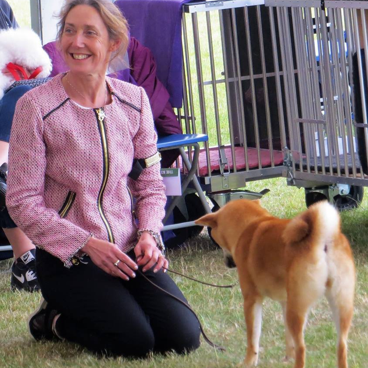 Выпускники питомника. SHIOMARU Питомник сиба и акита-ину