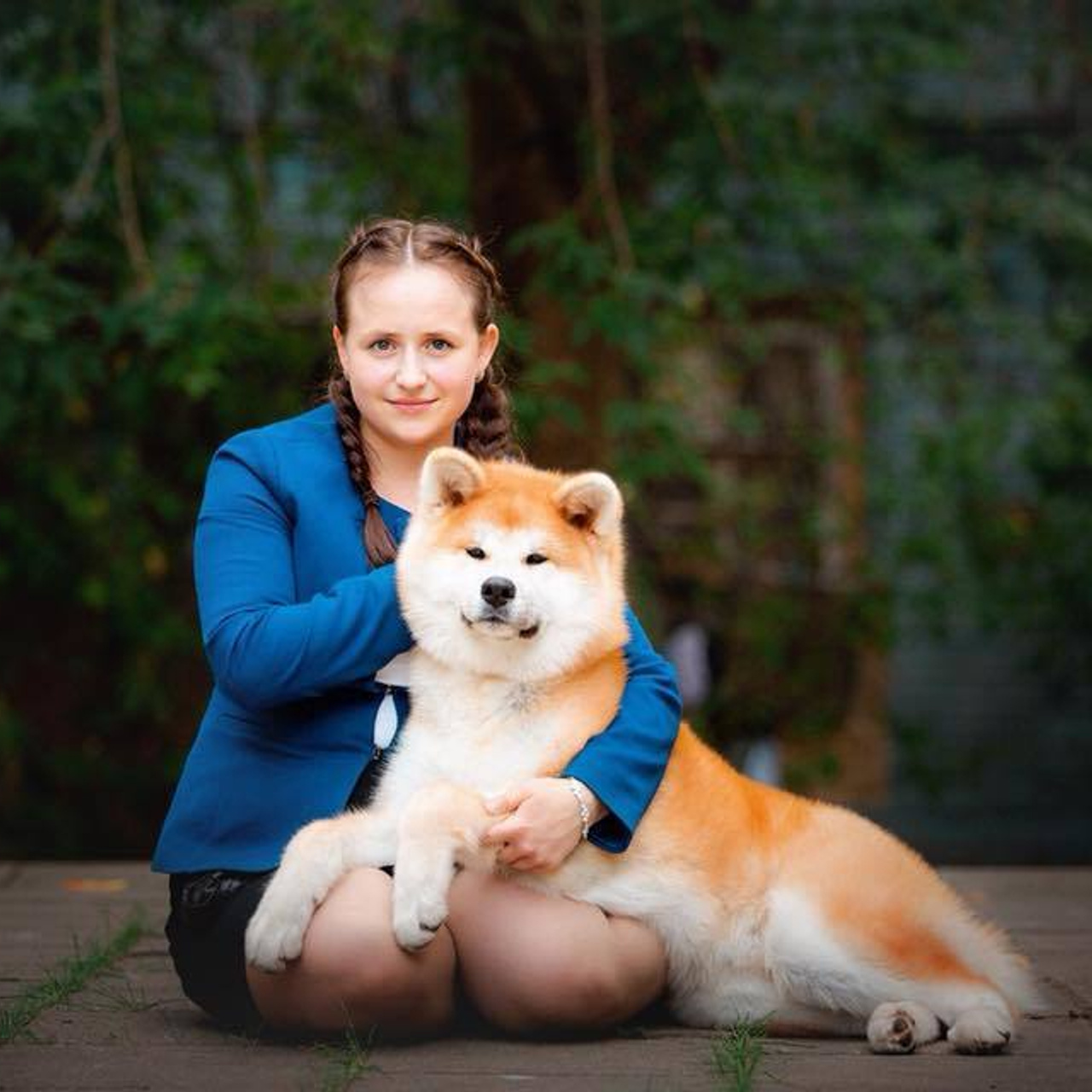 SHIOMARU KOUKI GO. SHIOMARU Shiba and Akita Inu Kennel