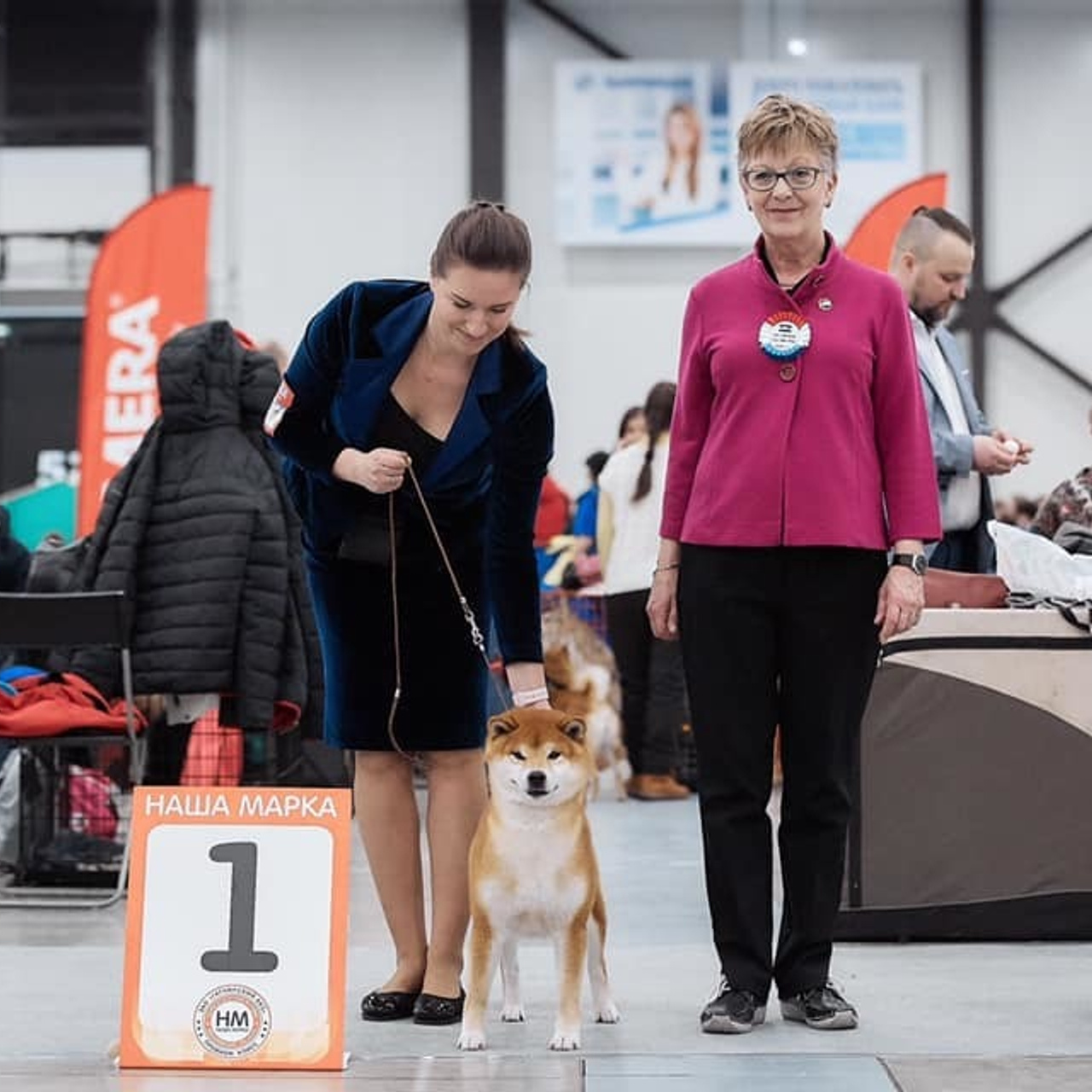2019. SHIOMARU Shiba and Akita Inu Kennel