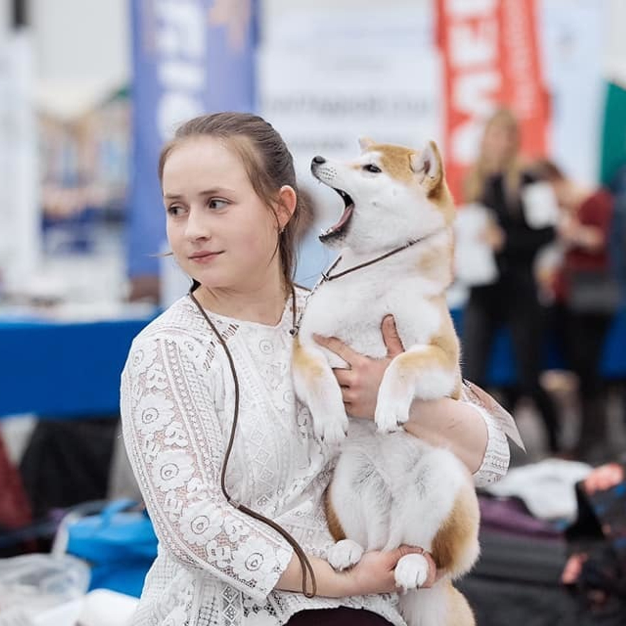 2019. SHIOMARU Shiba and Akita Inu Kennel
