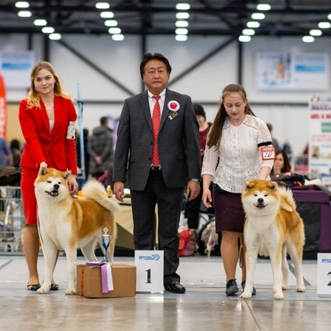 2019. SHIOMARU Shiba and Akita Inu Kennel