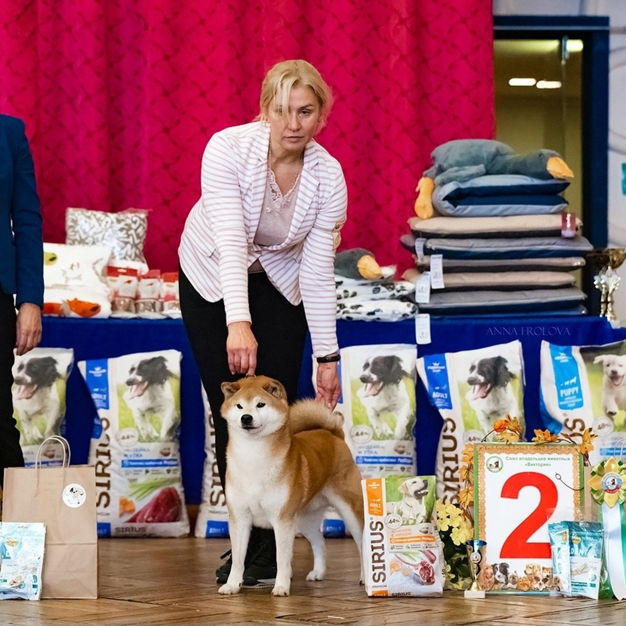 2023. SHIOMARU Питомник сиба и акита-ину