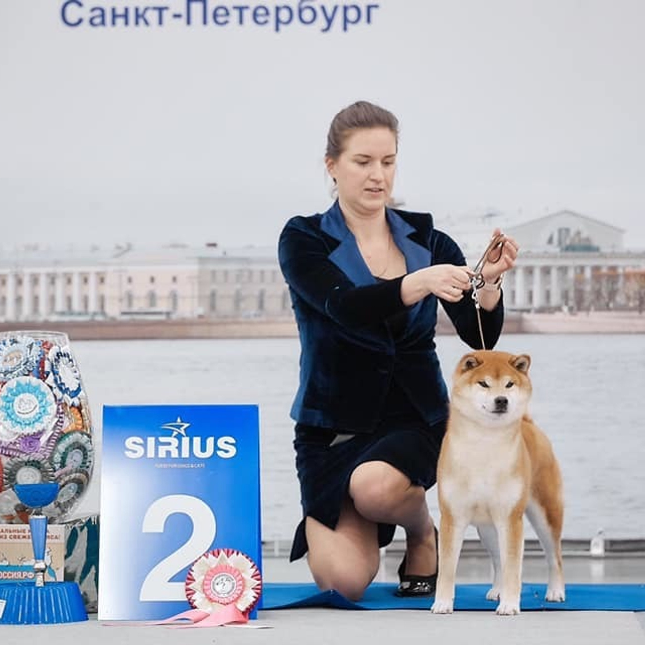 2019. SHIOMARU Shiba and Akita Inu Kennel