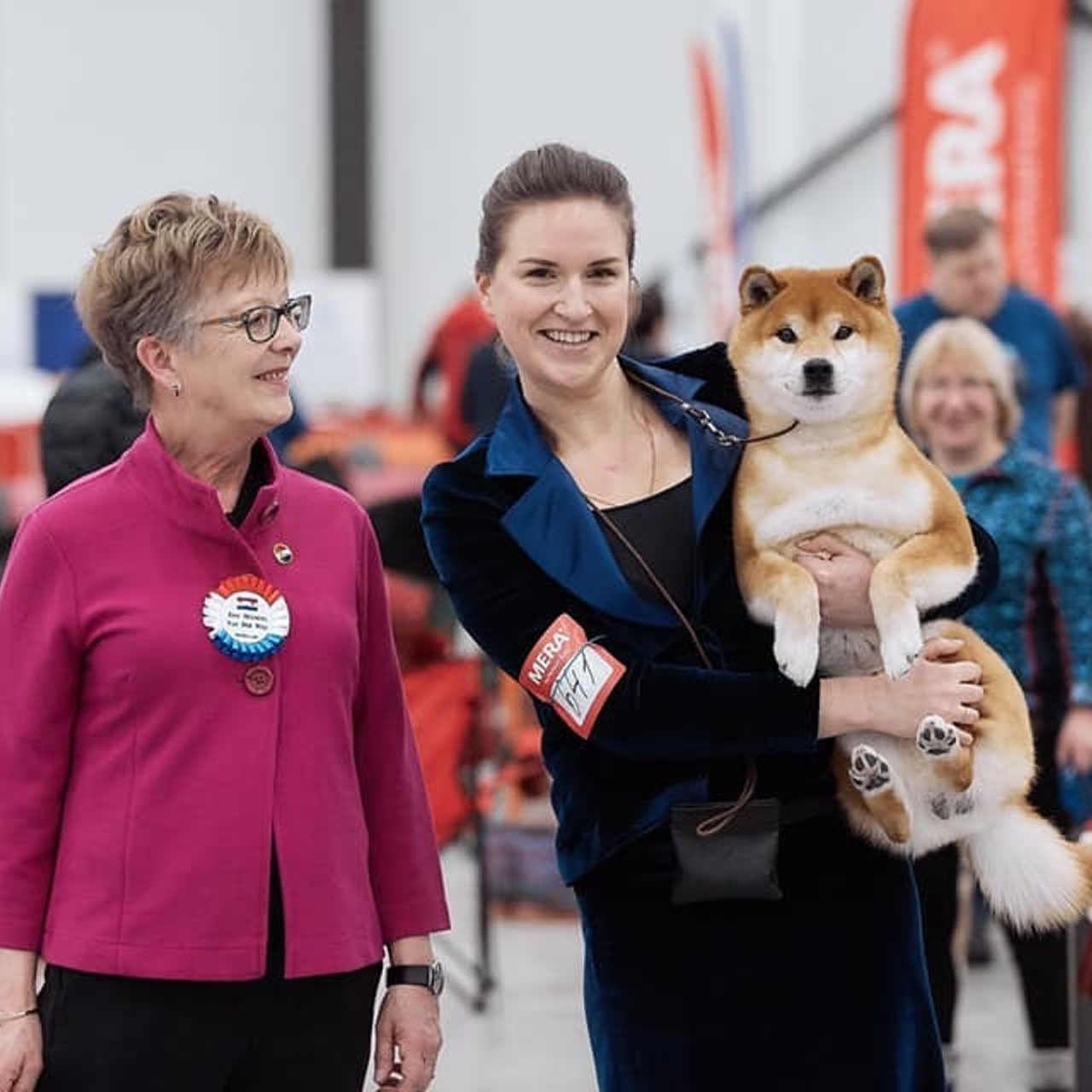 2019. SHIOMARU Shiba and Akita Inu Kennel