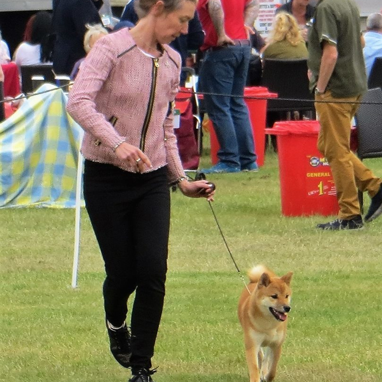 Выпускники питомника. SHIOMARU Питомник сиба и акита-ину