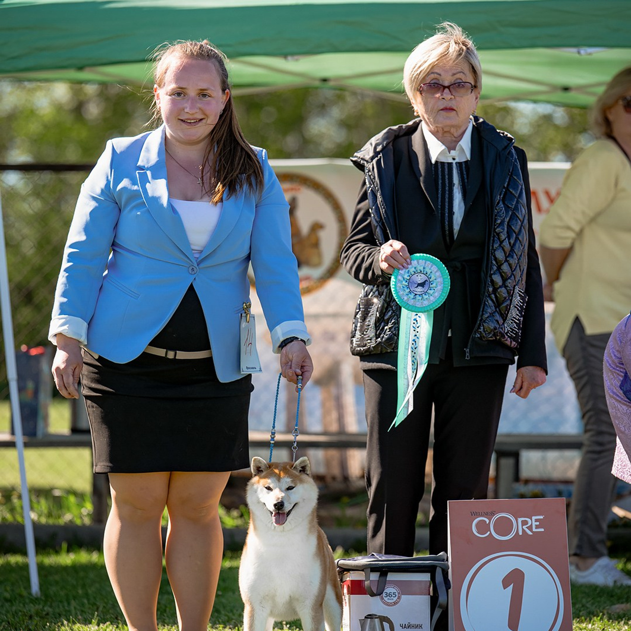 SHIOMARU CONSTELLATION TO ILORY. SHIOMARU Питомник сиба и акита-ину