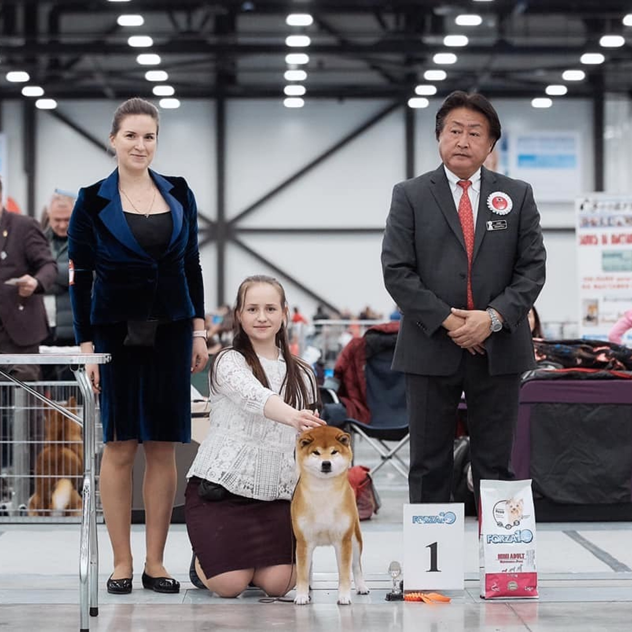 2019. SHIOMARU Shiba and Akita Inu Kennel