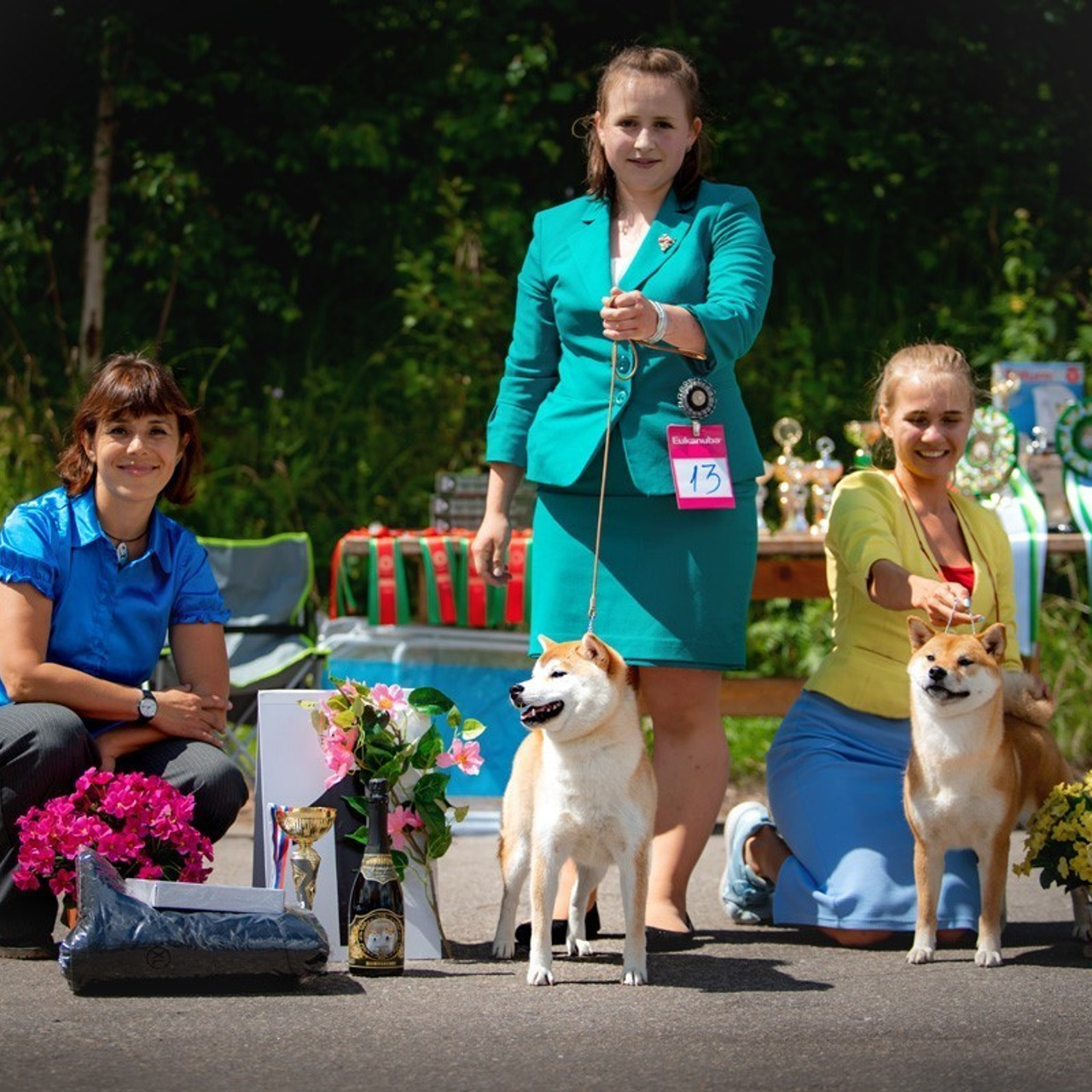 2019. SHIOMARU Shiba and Akita Inu Kennel