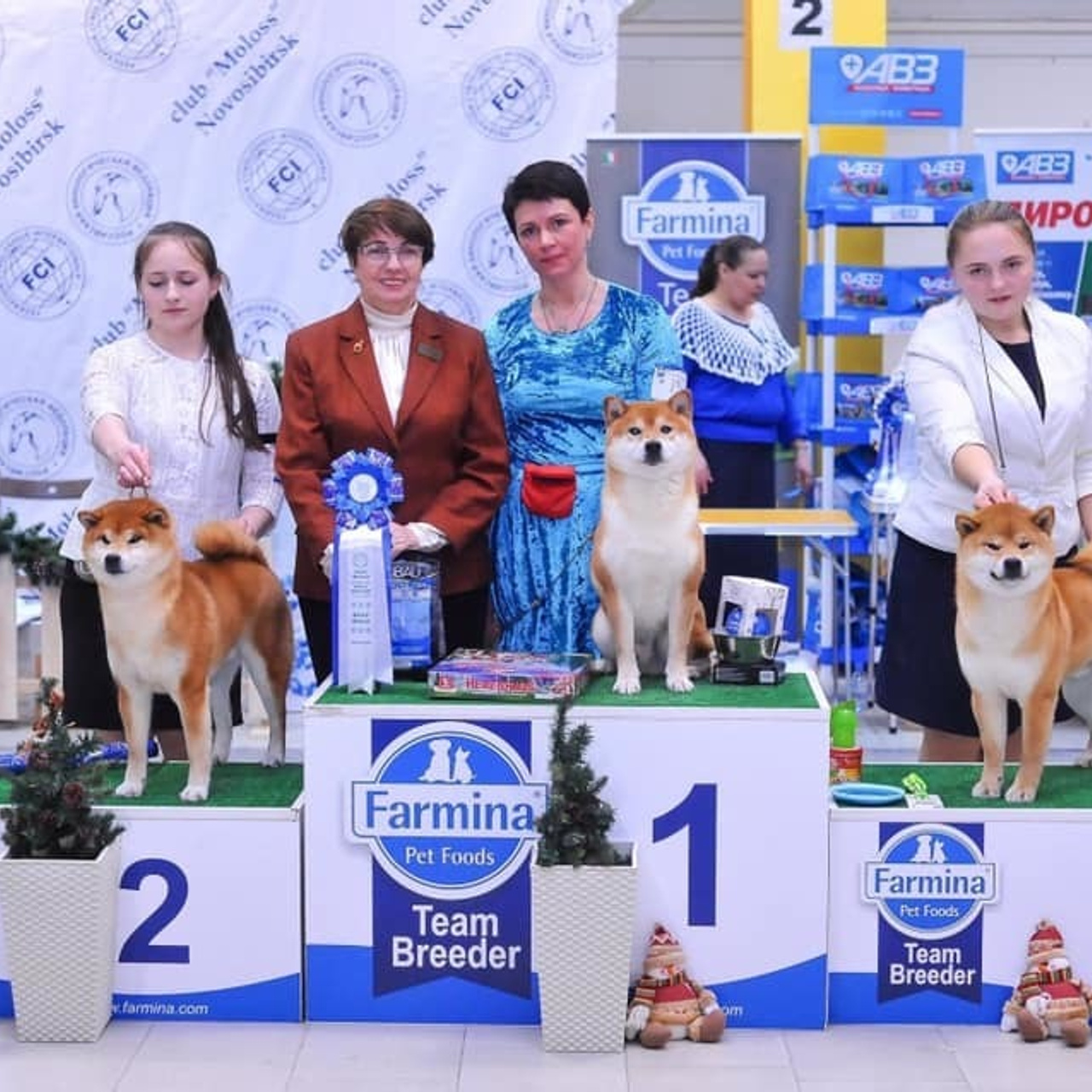 2019. SHIOMARU Shiba and Akita Inu Kennel