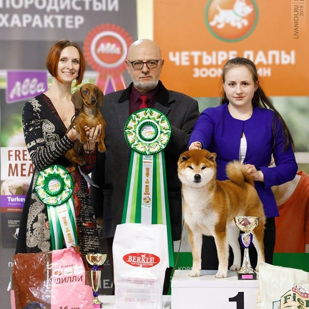 2019. SHIOMARU Shiba and Akita Inu Kennel