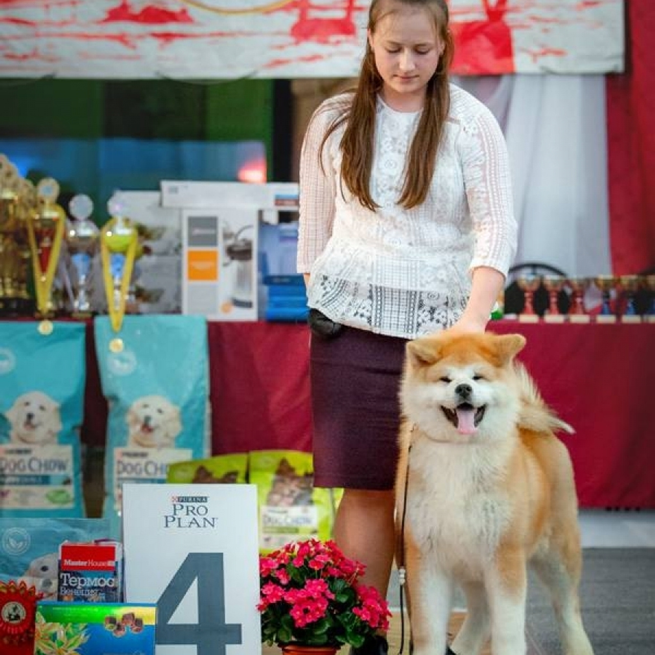 2019. SHIOMARU Shiba and Akita Inu Kennel