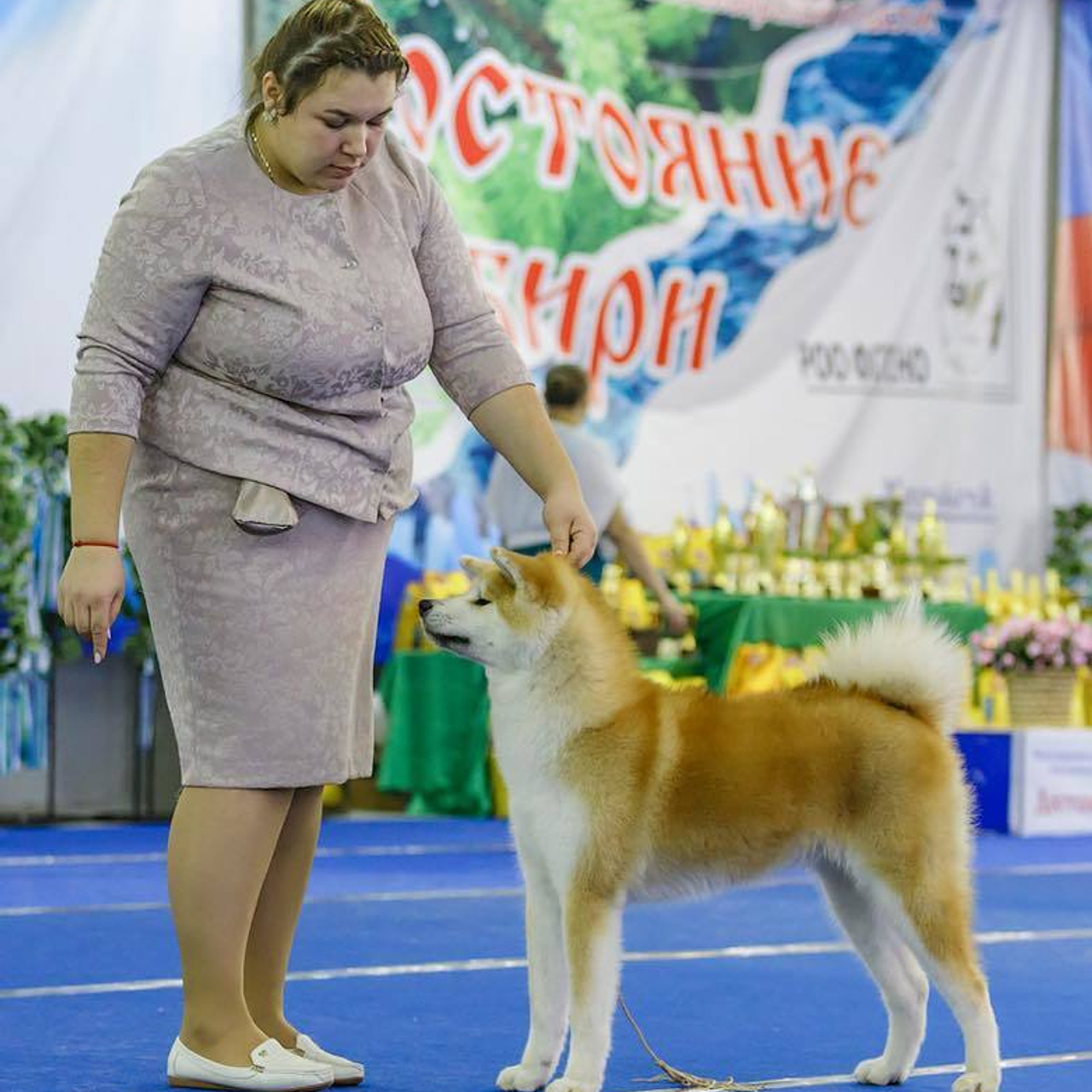 Выпускники питомника. SHIOMARU Питомник сиба и акита-ину