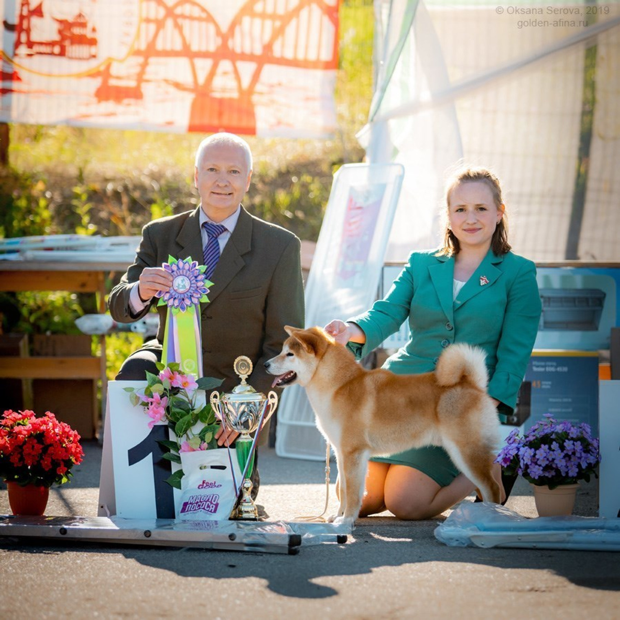 2019. SHIOMARU Shiba and Akita Inu Kennel