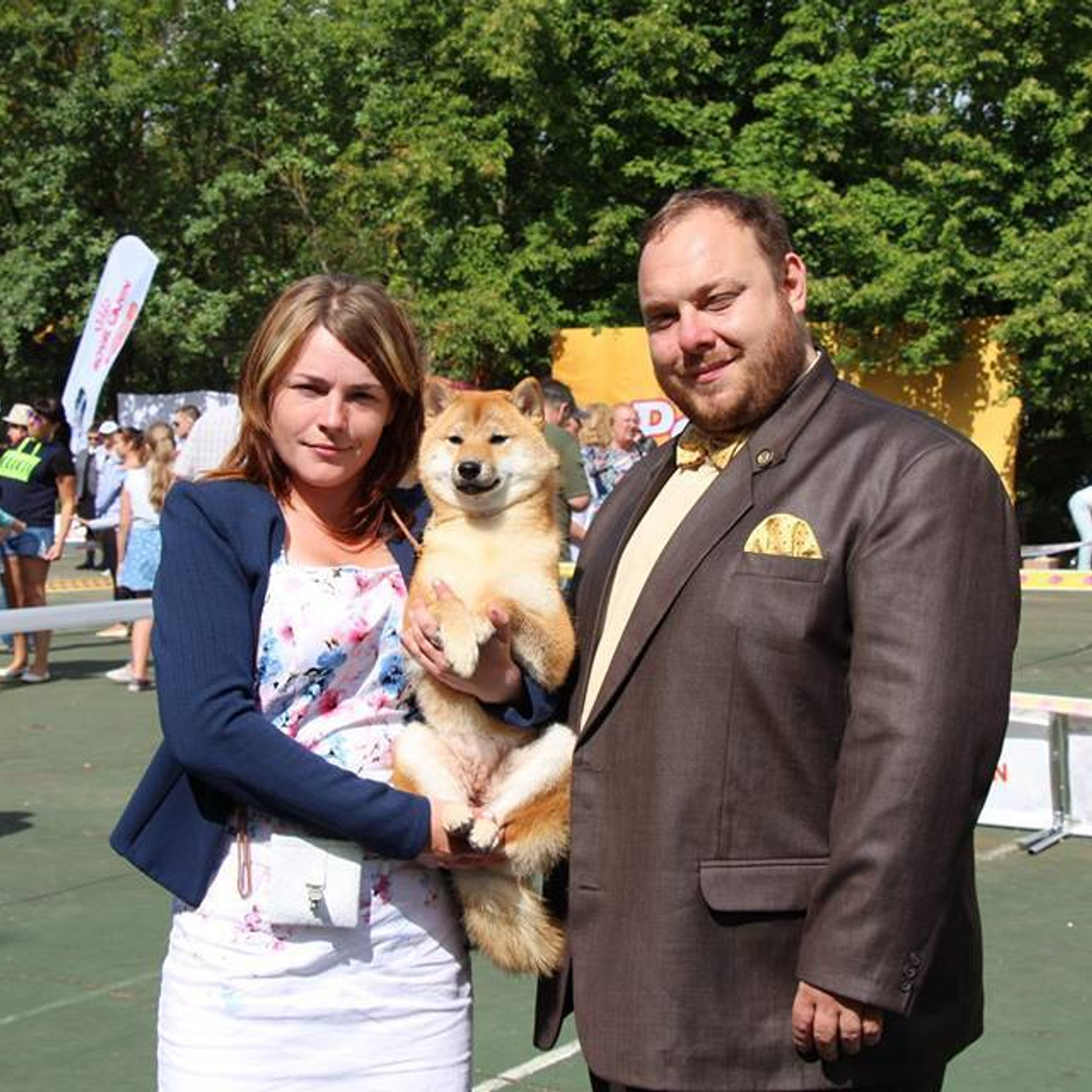 Выпускники питомника. SHIOMARU Питомник сиба и акита-ину