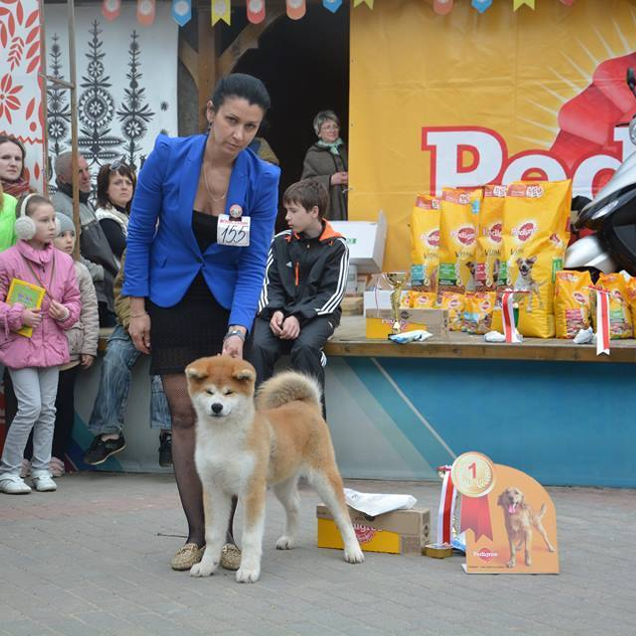 Dog show 2015. SHIOMARU Питомник сиба и акита-ину