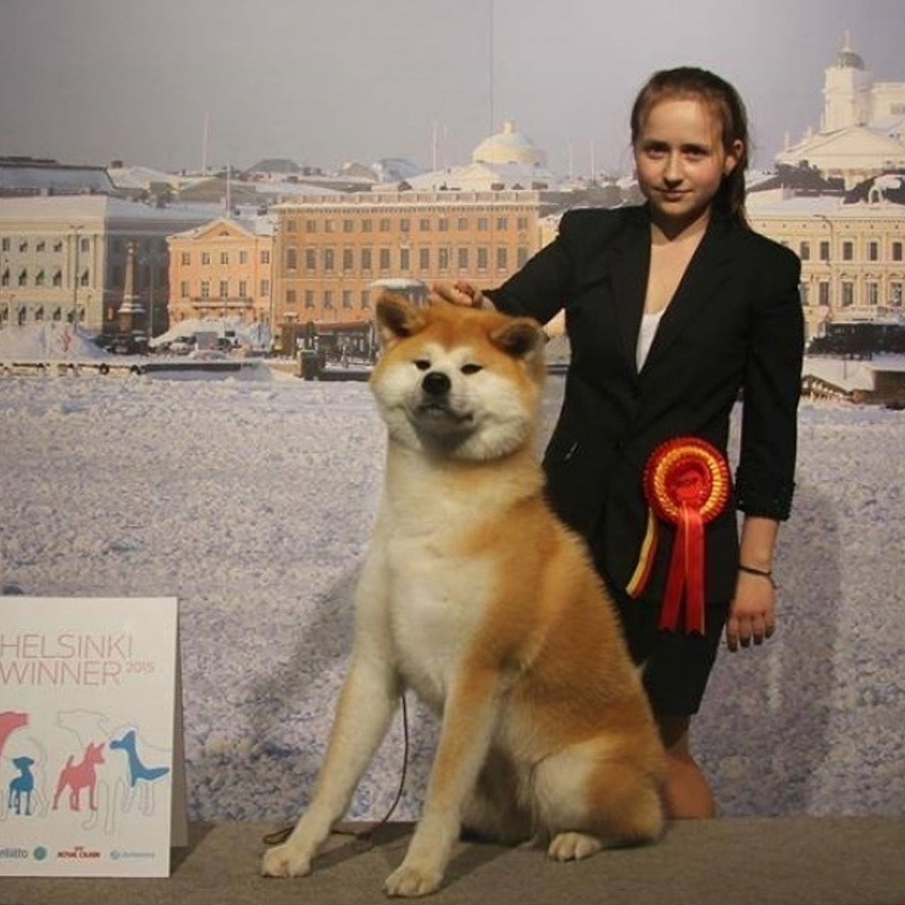 Dog show 2015. SHIOMARU Питомник сиба и акита-ину