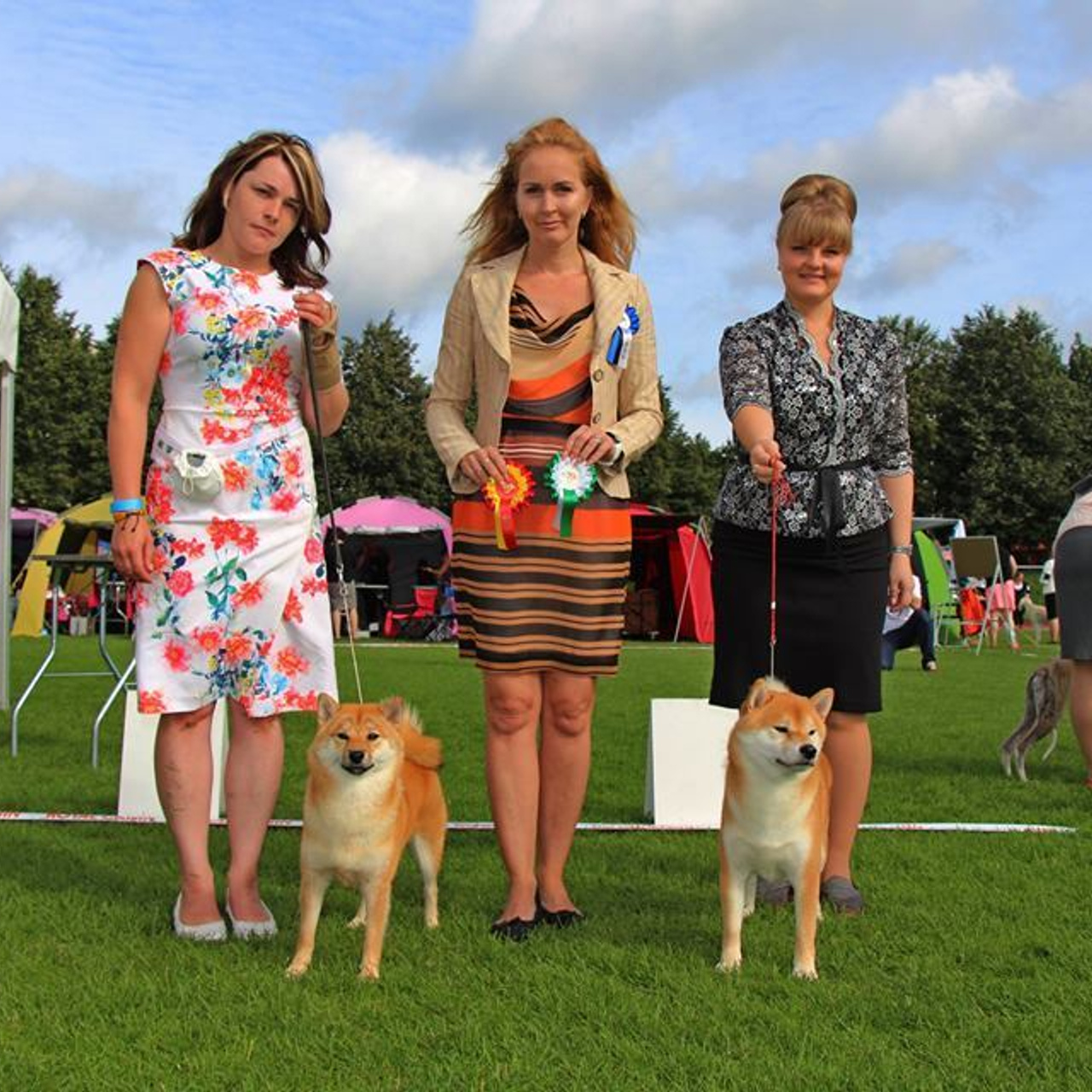 Выпускники питомника. SHIOMARU Питомник сиба и акита-ину