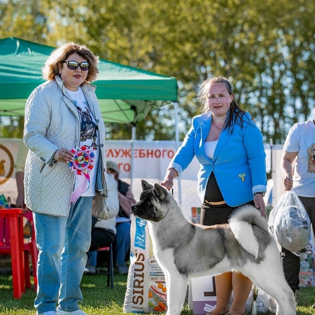 2024. SHIOMARU Shiba and Akita Inu Kennel