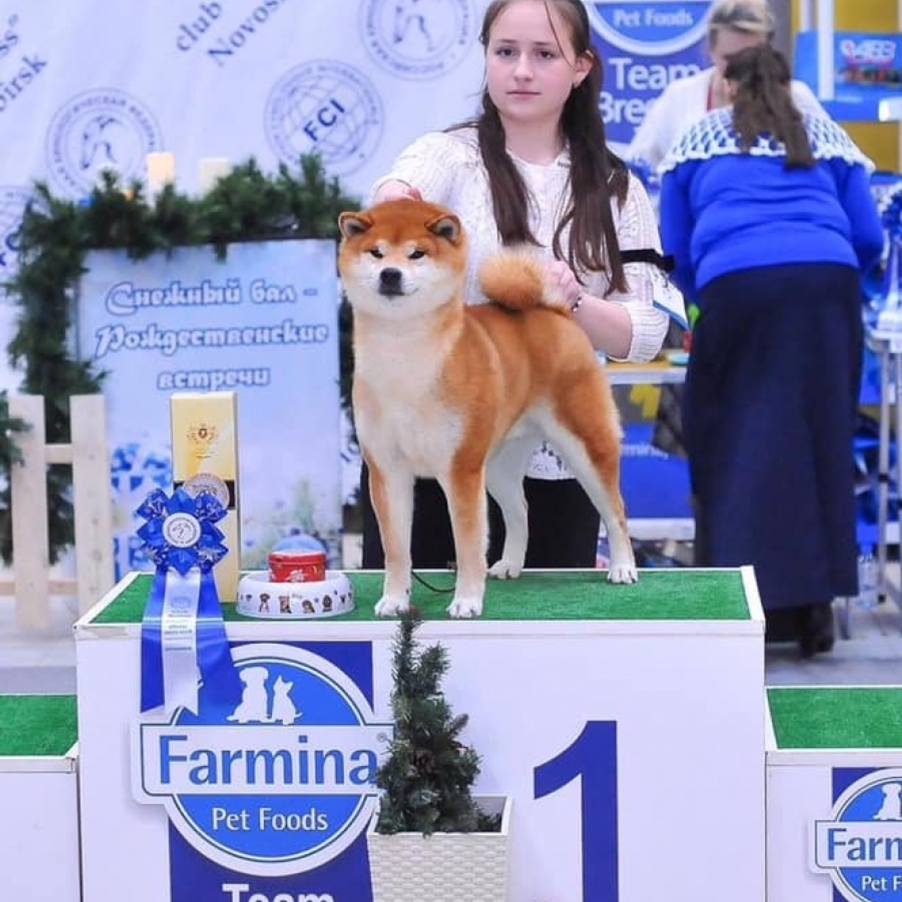 2019. SHIOMARU Shiba and Akita Inu Kennel