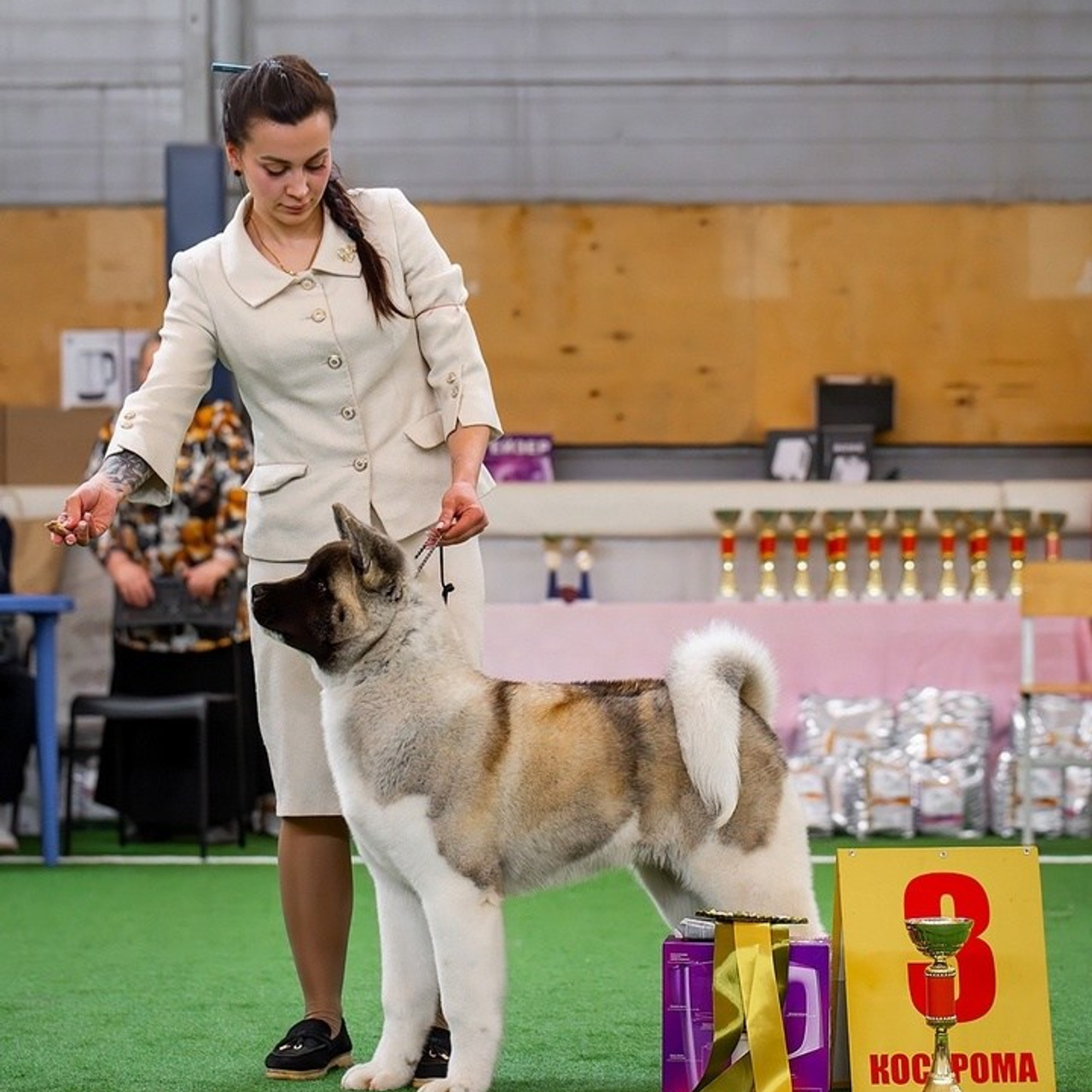 2024. SHIOMARU Shiba and Akita Inu Kennel