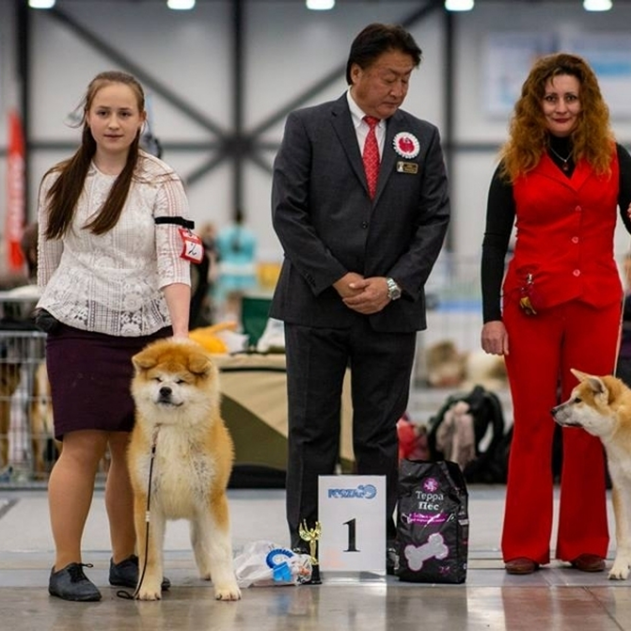 2019. SHIOMARU Shiba and Akita Inu Kennel