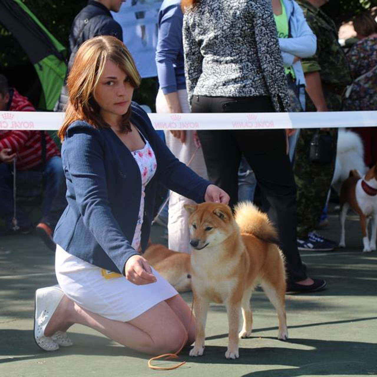 Выпускники питомника. SHIOMARU Питомник сиба и акита-ину