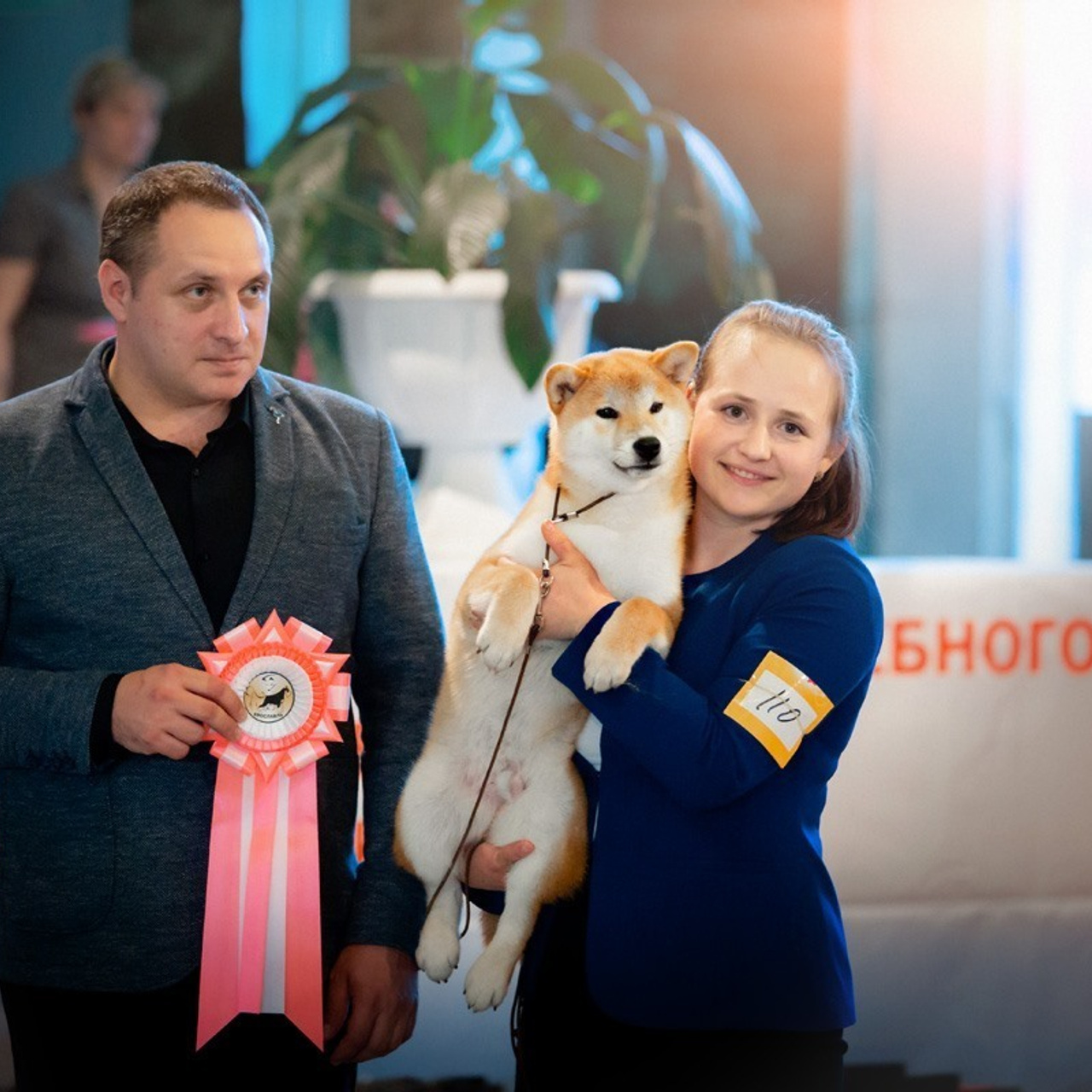 2019. SHIOMARU Shiba and Akita Inu Kennel