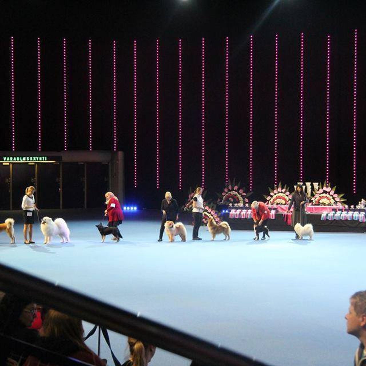 Dog show 2015. SHIOMARU Питомник сиба и акита-ину