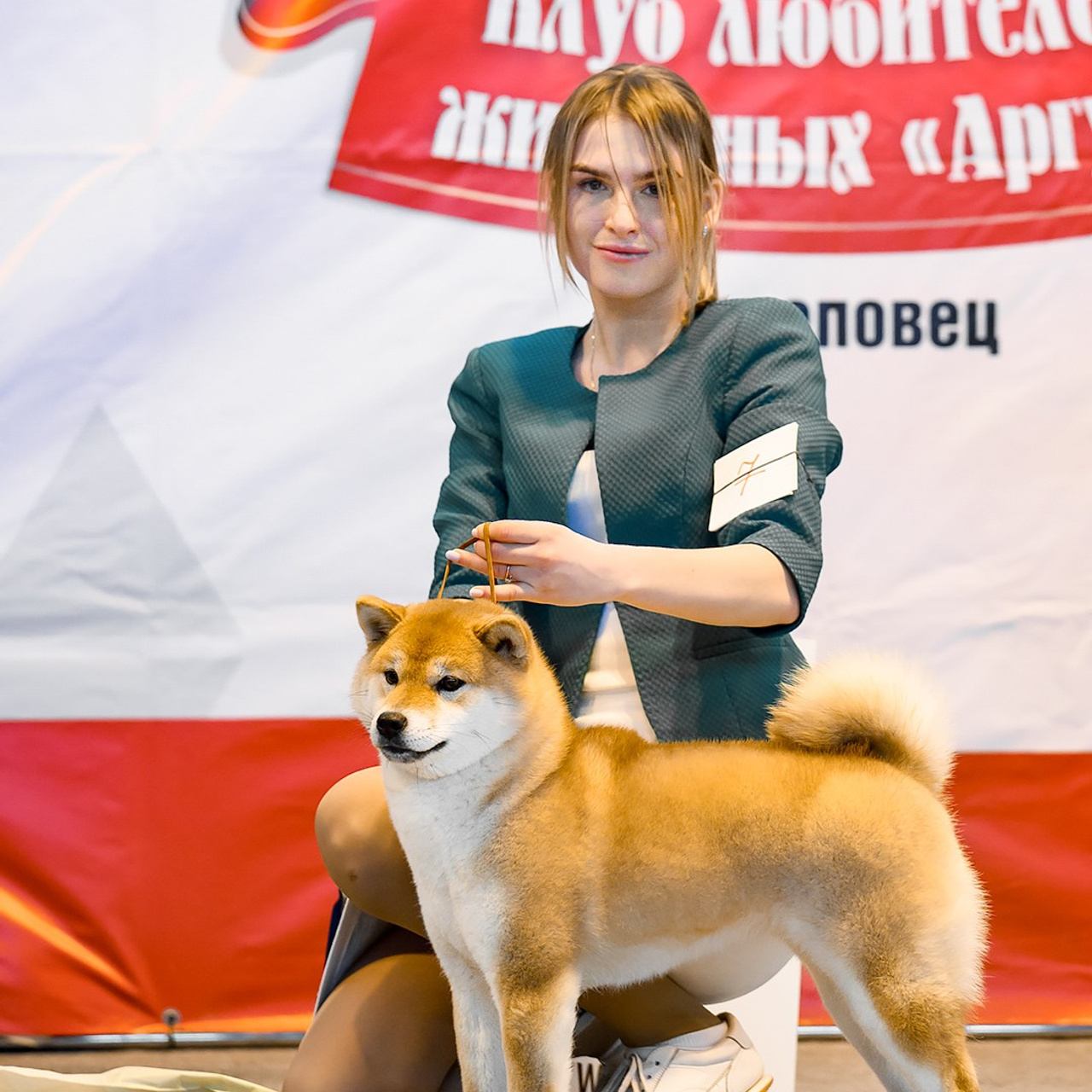 2024. SHIOMARU Shiba and Akita Inu Kennel