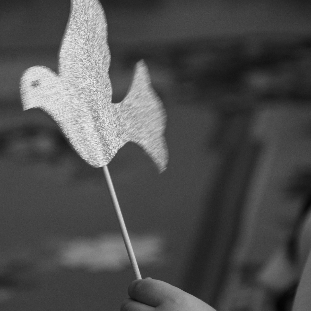 Отзывы. Фотограф Ольга Морятова