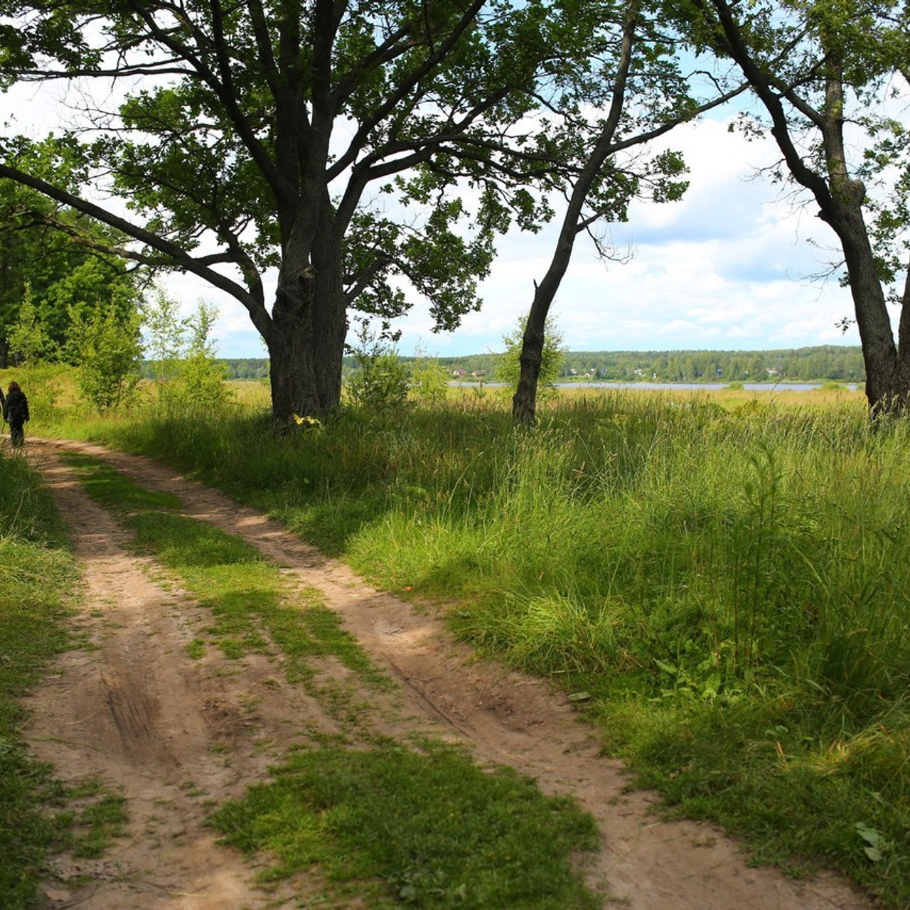 Отзывы. Свадебный и репортажный фотограф в Ярославле и Санкт-Петербурге Роман Микрюков